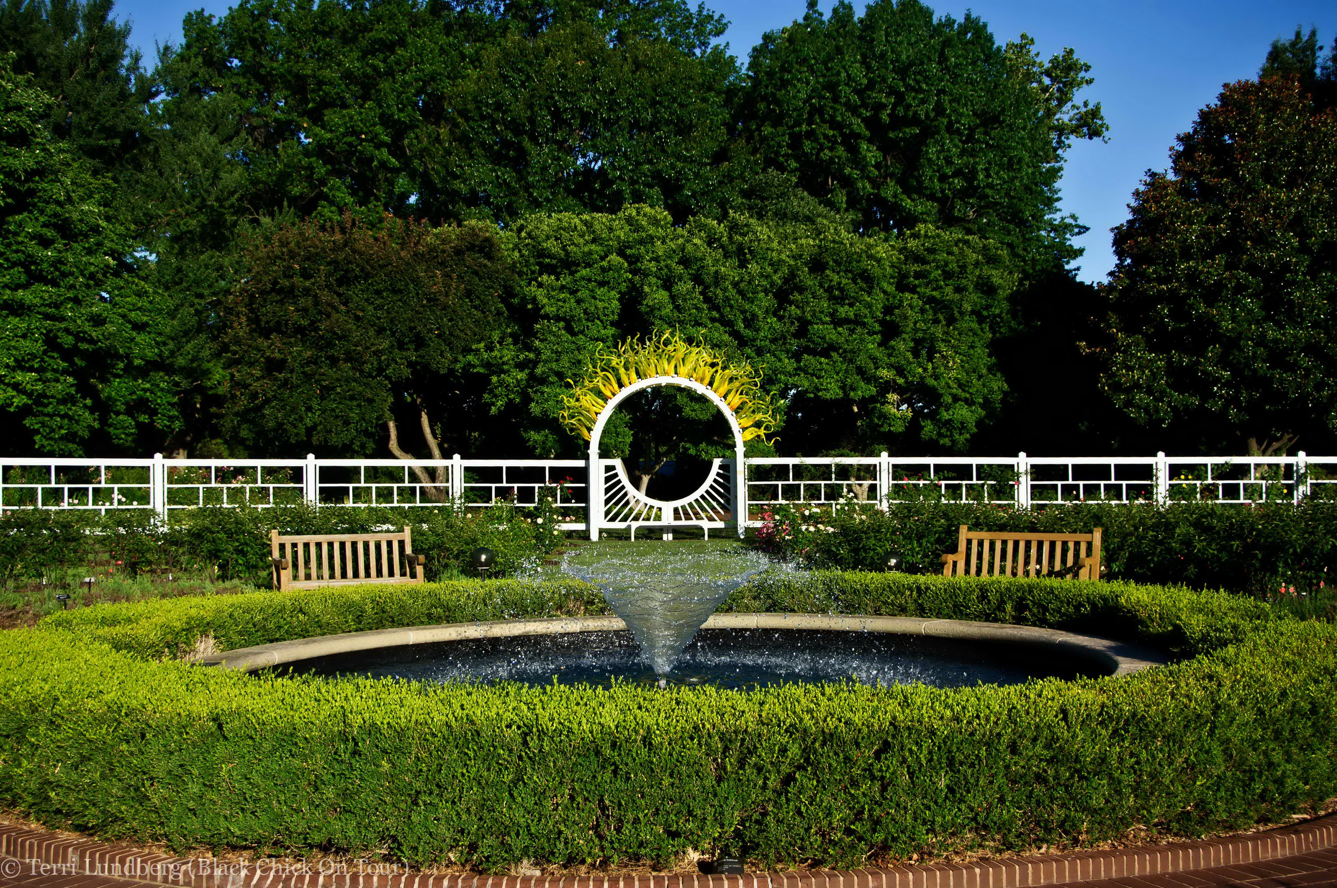 Ботанический сад Москва фонтан