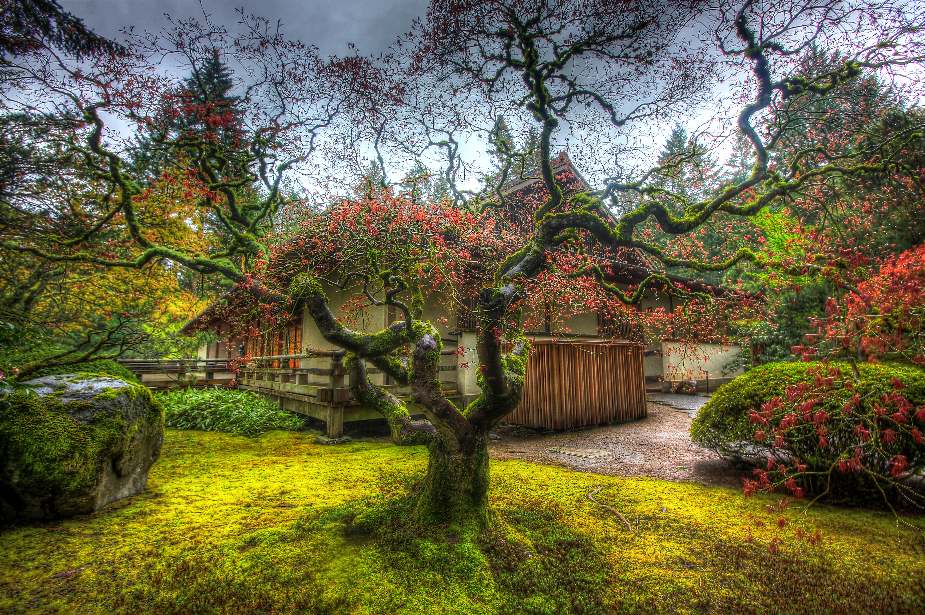 Japanese Garden, County Kildare, Ireland без смс