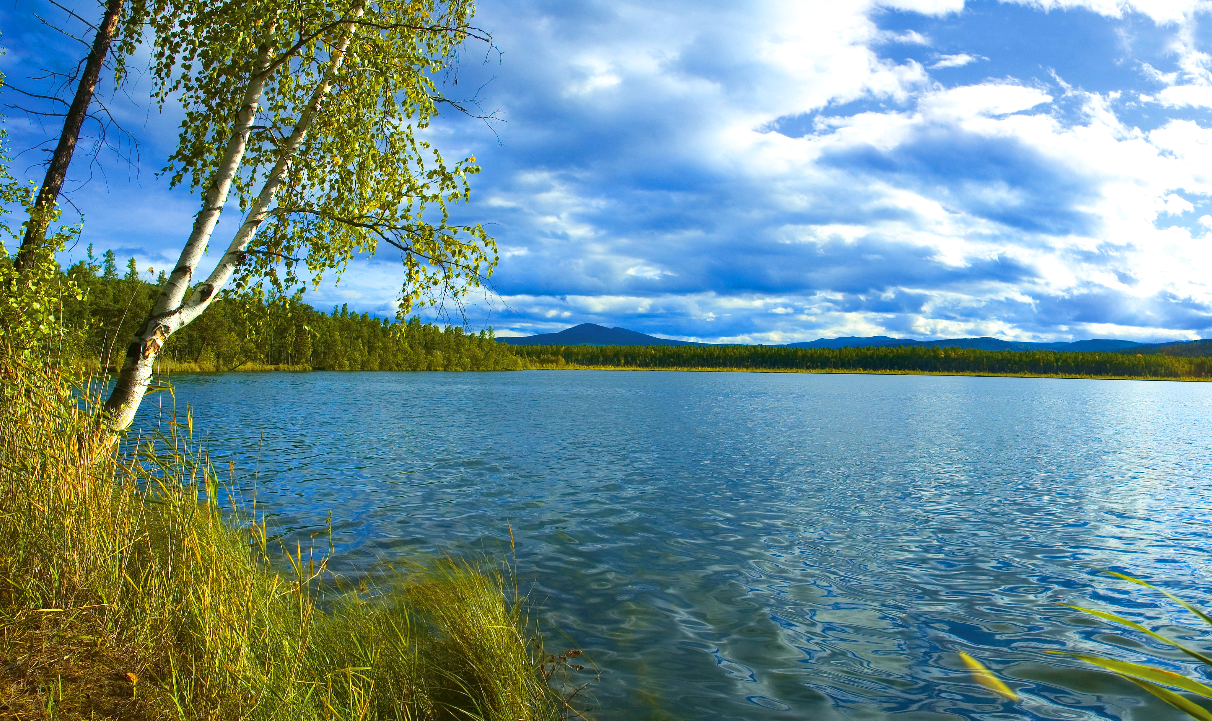 Озеро здесь шире. Озеро Березовое Березово. Осиновое озеро Ульяновск. Озеро Березовое Уфа. Озеро зеркальное Назаровский район.