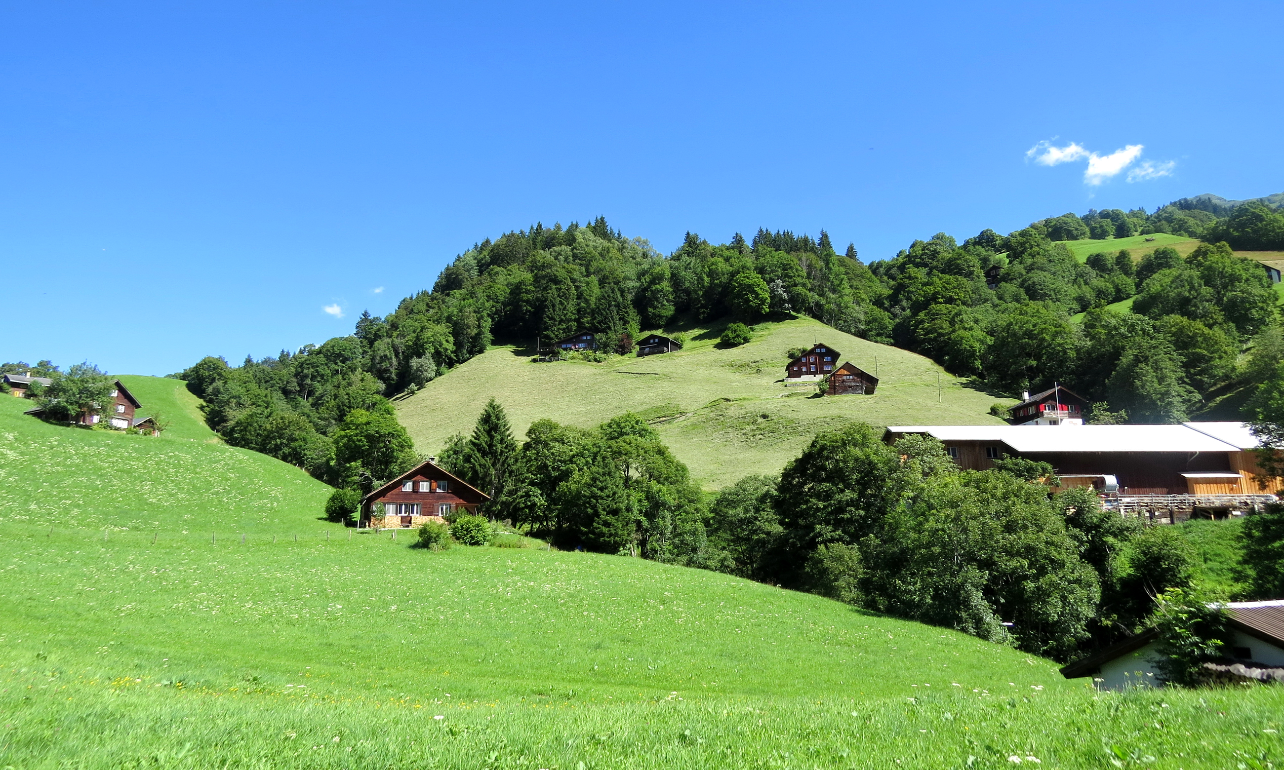 Hills village. Швейцария холм холм. Лесистые холмы Швейцария. Поселок хоббитов в Швейцарии. Село на Холме Швейцарии.
