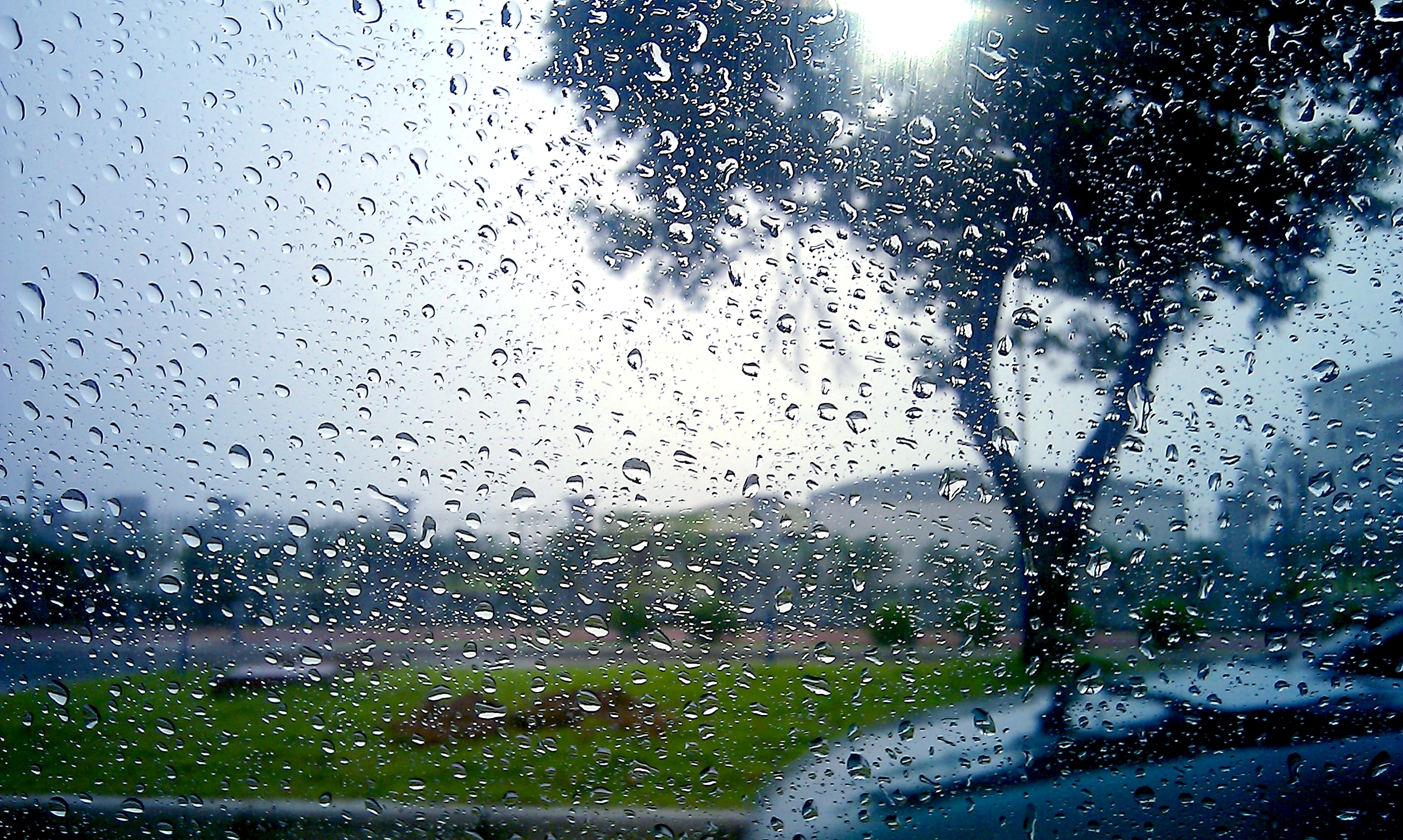 Почему начинается дождь. Дождь. Ливень. Природа дождь. Дождливый день.