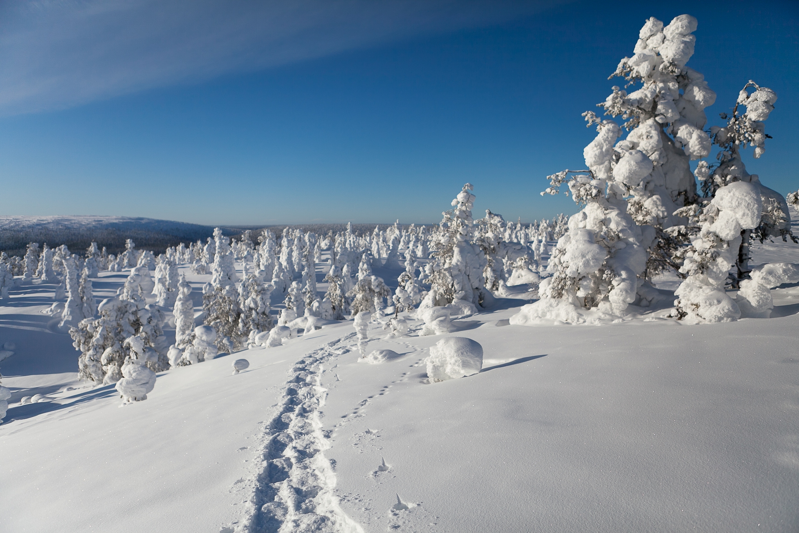 Финляндия Arctic Winter World Park