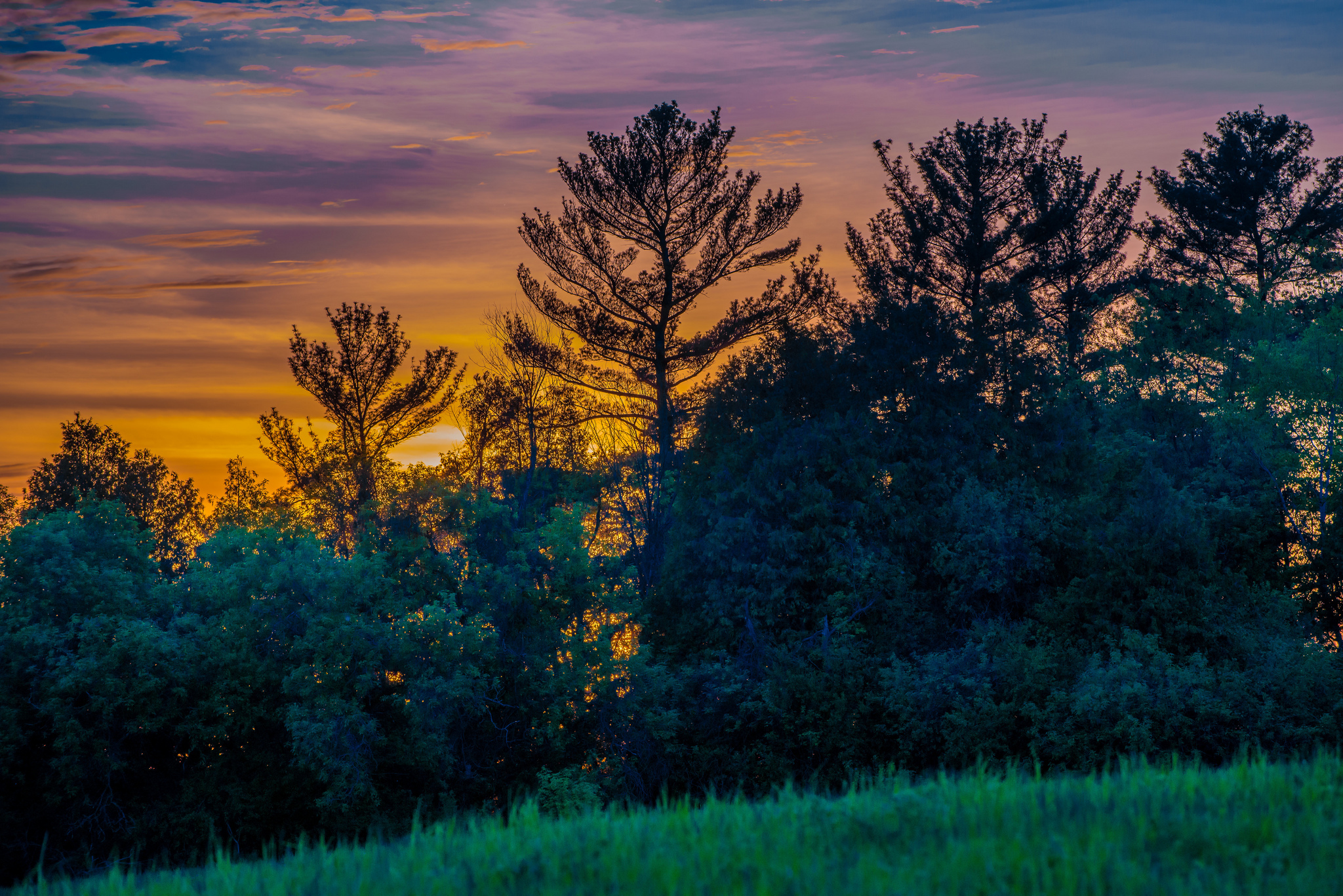 Фото Канада Природа рассвет и закат Деревья 2048x1367 Рассветы и закаты дерево дерева деревьев