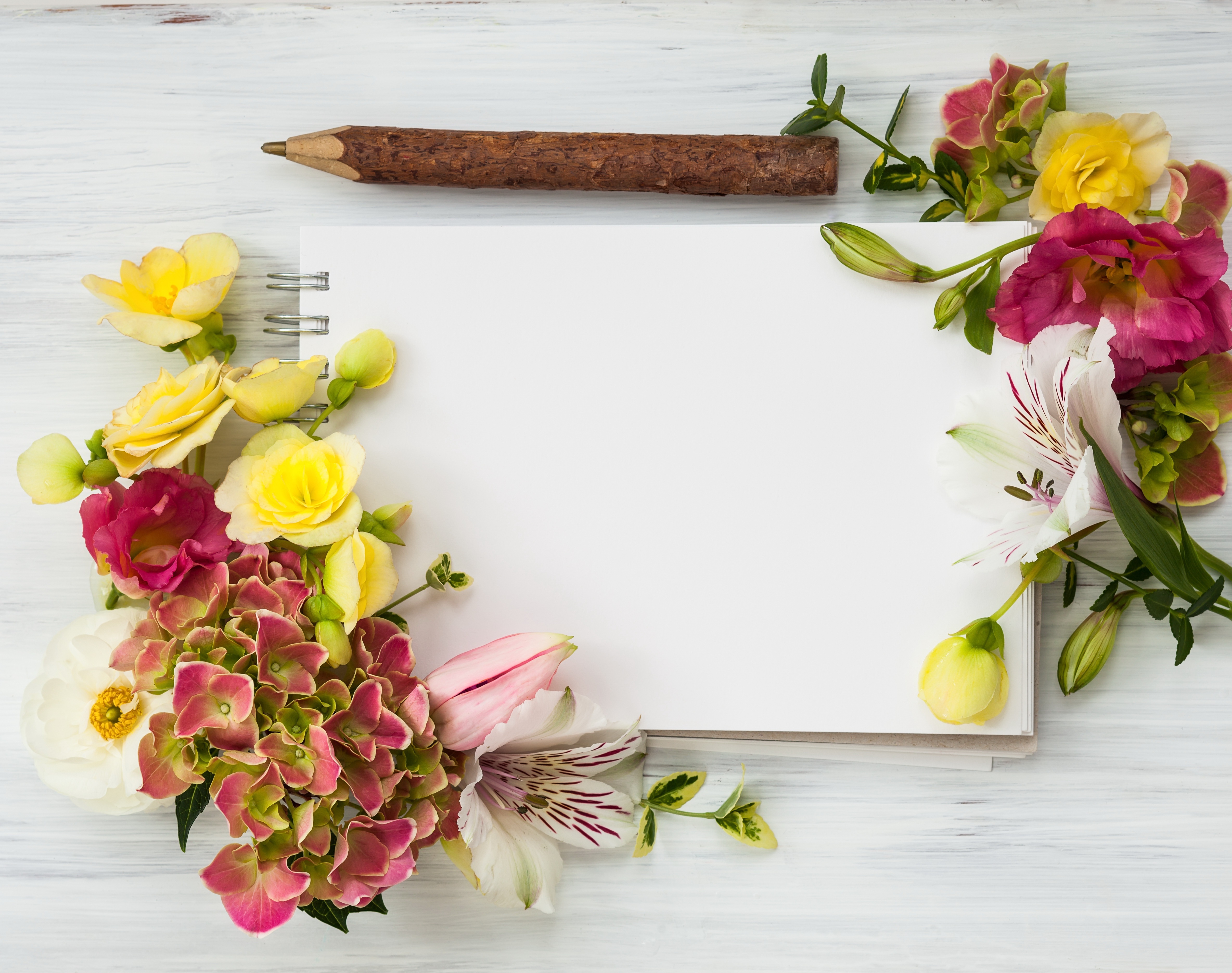 Обои для рабочего стола Блокнот цветок Гортензия Шаблон поздравительной открытки Цветы