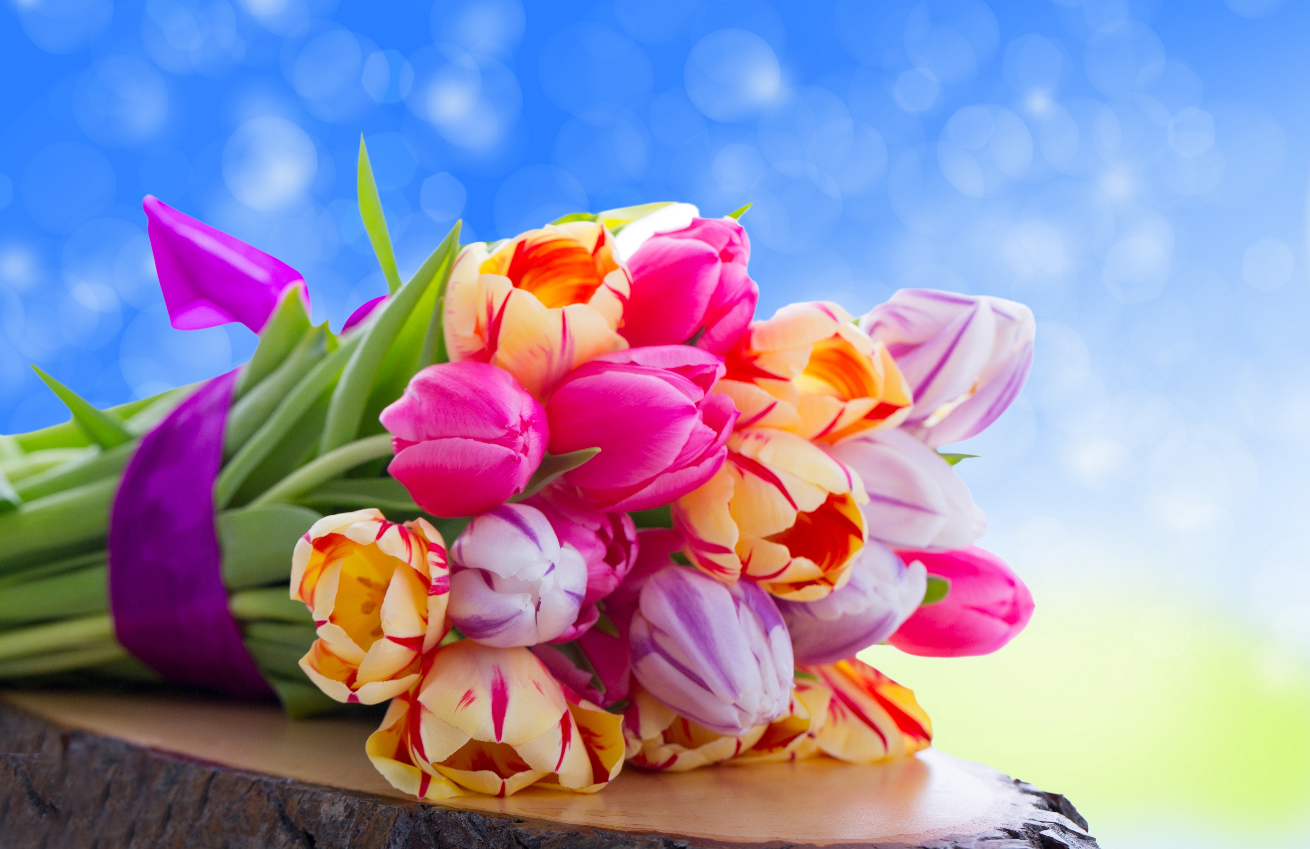 цветы природа тюльпаны букет скачать