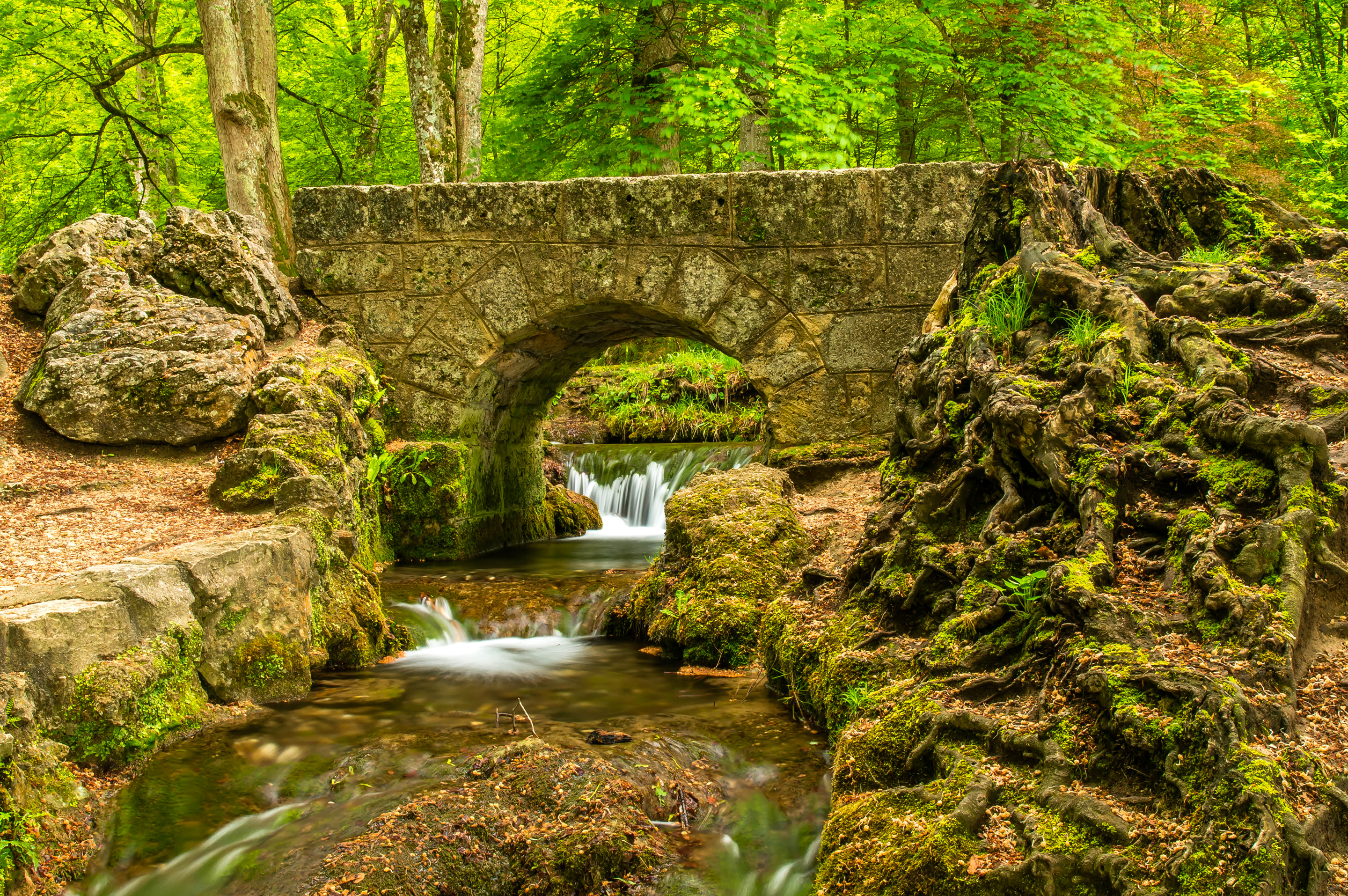 Каменный мост над рекой в лесу загрузить