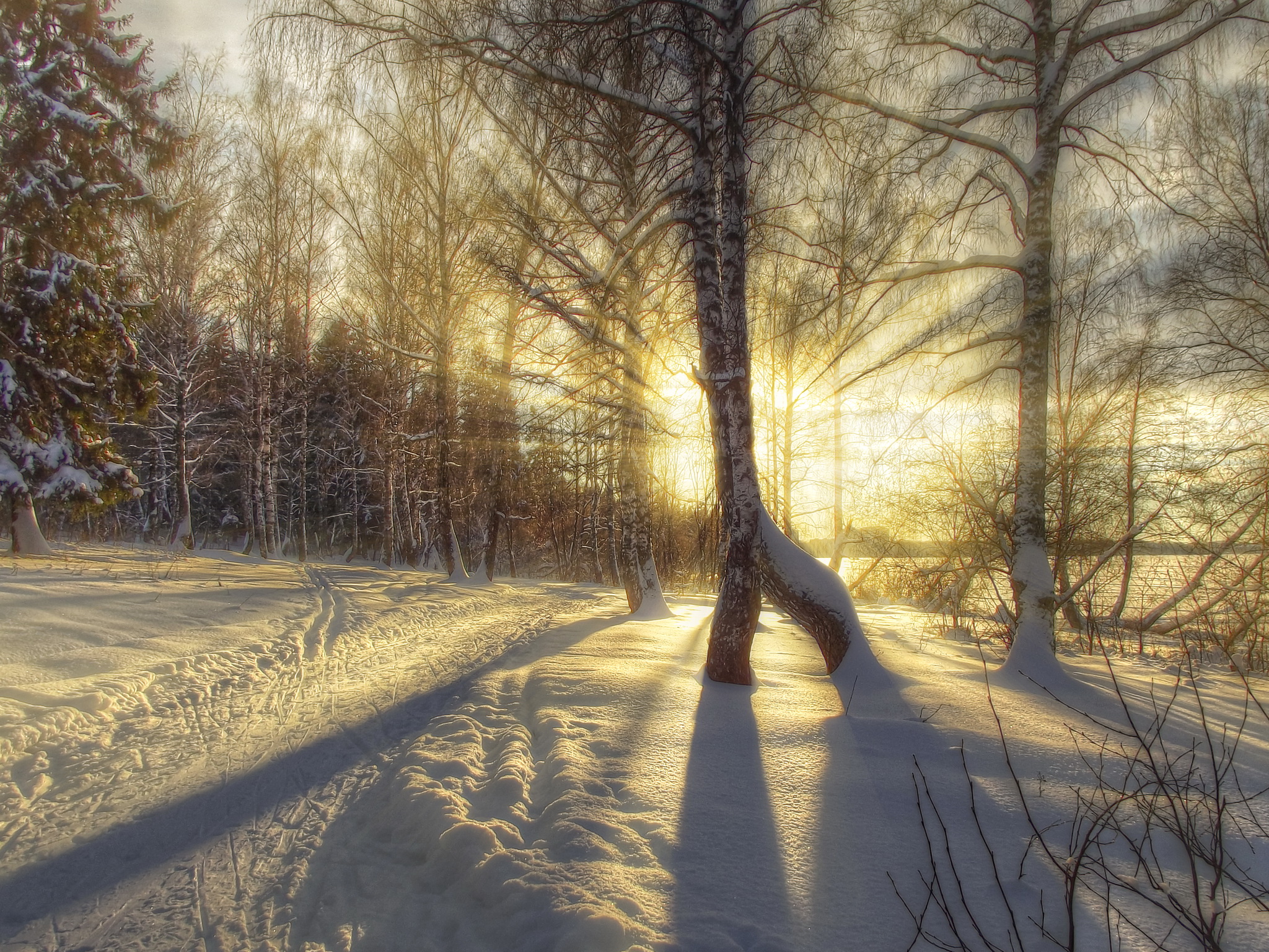 природа зима солнце деревья скачать