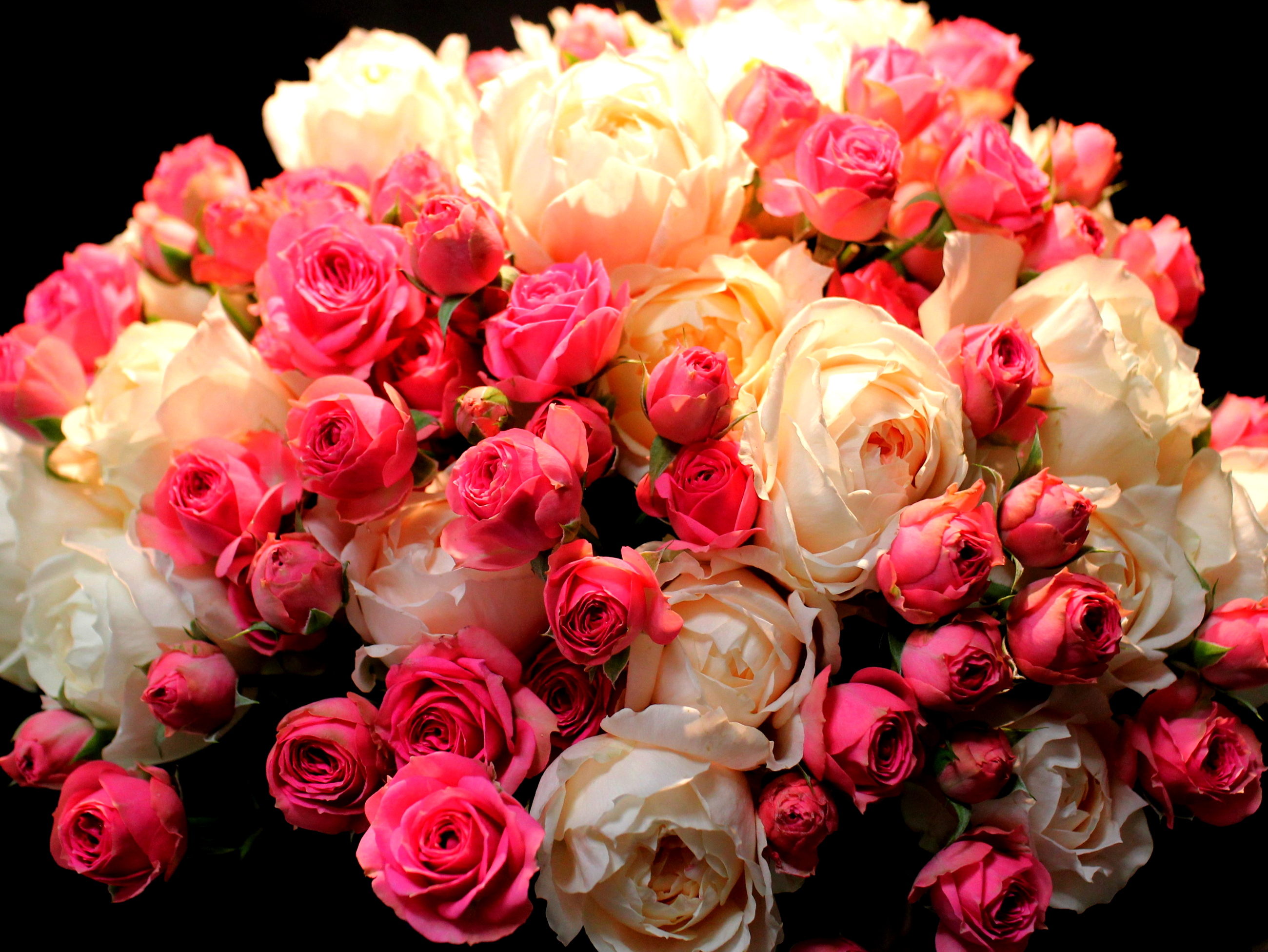 Букеты роз шикарных