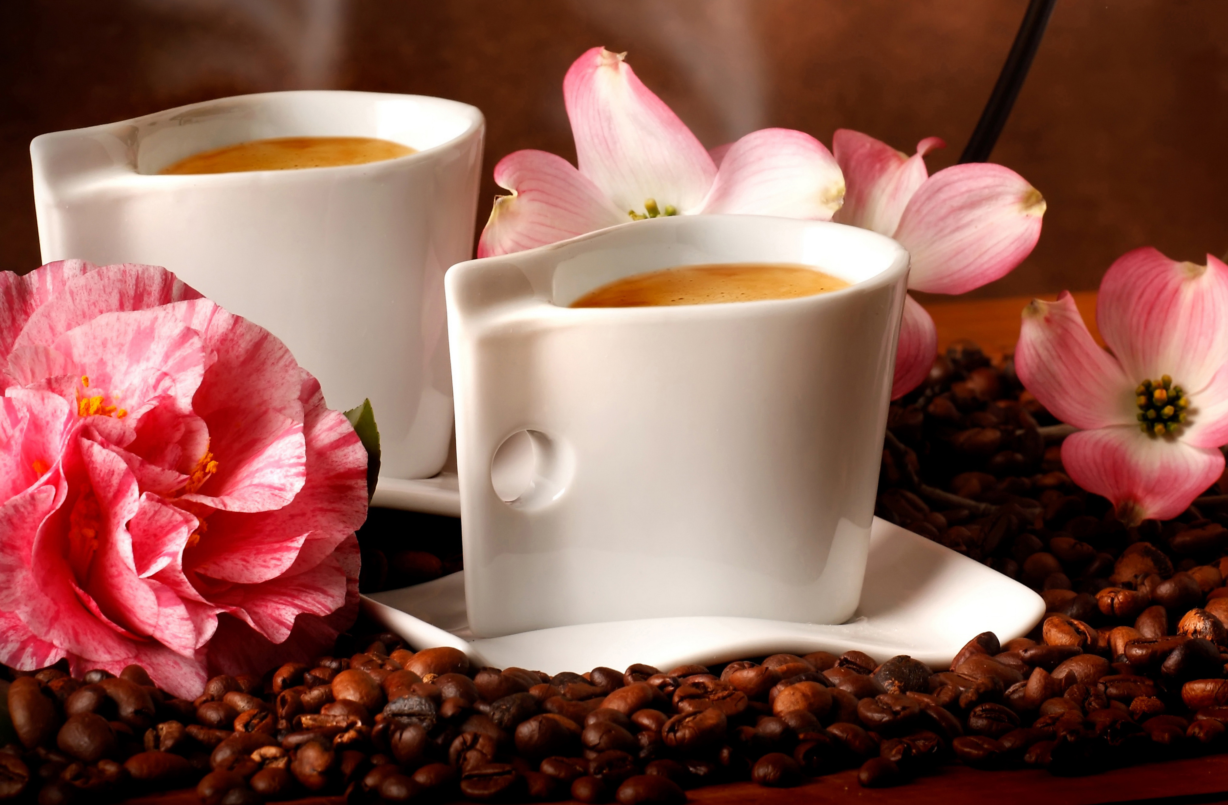 Изысканного утра. Чашка кофе. Кофе и цветы. Красивые чашки. Красивая чашка кофе.
