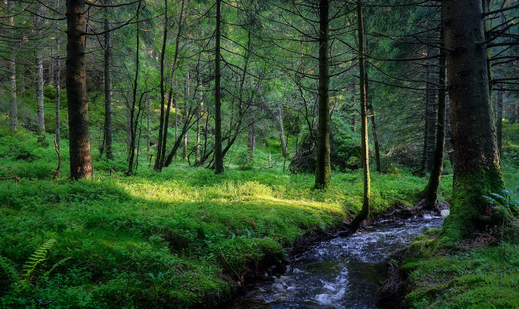 Звук ручья в лесу