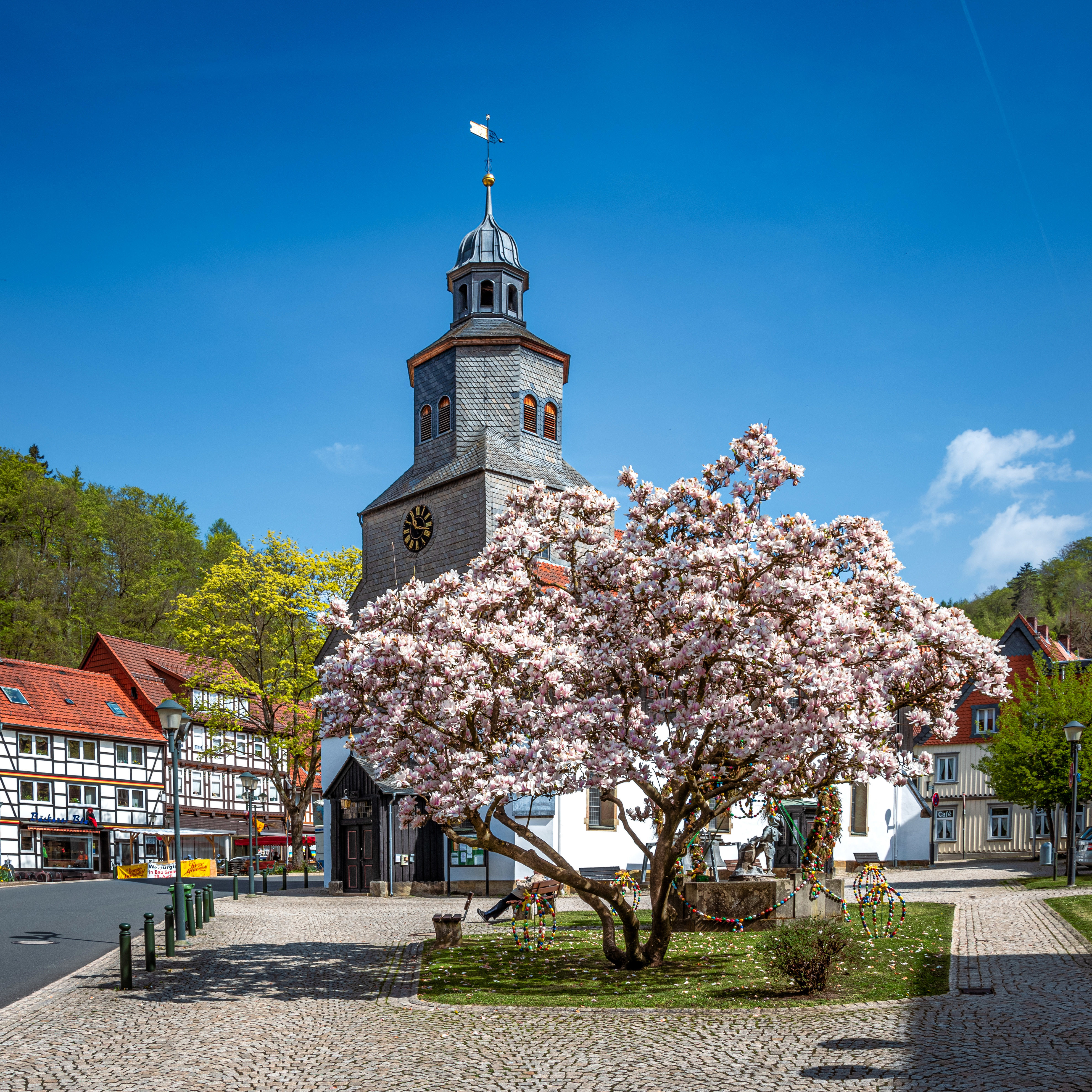 Картинка Церковь Германия Bad Grund Весна город Цветущие деревья весенние Города