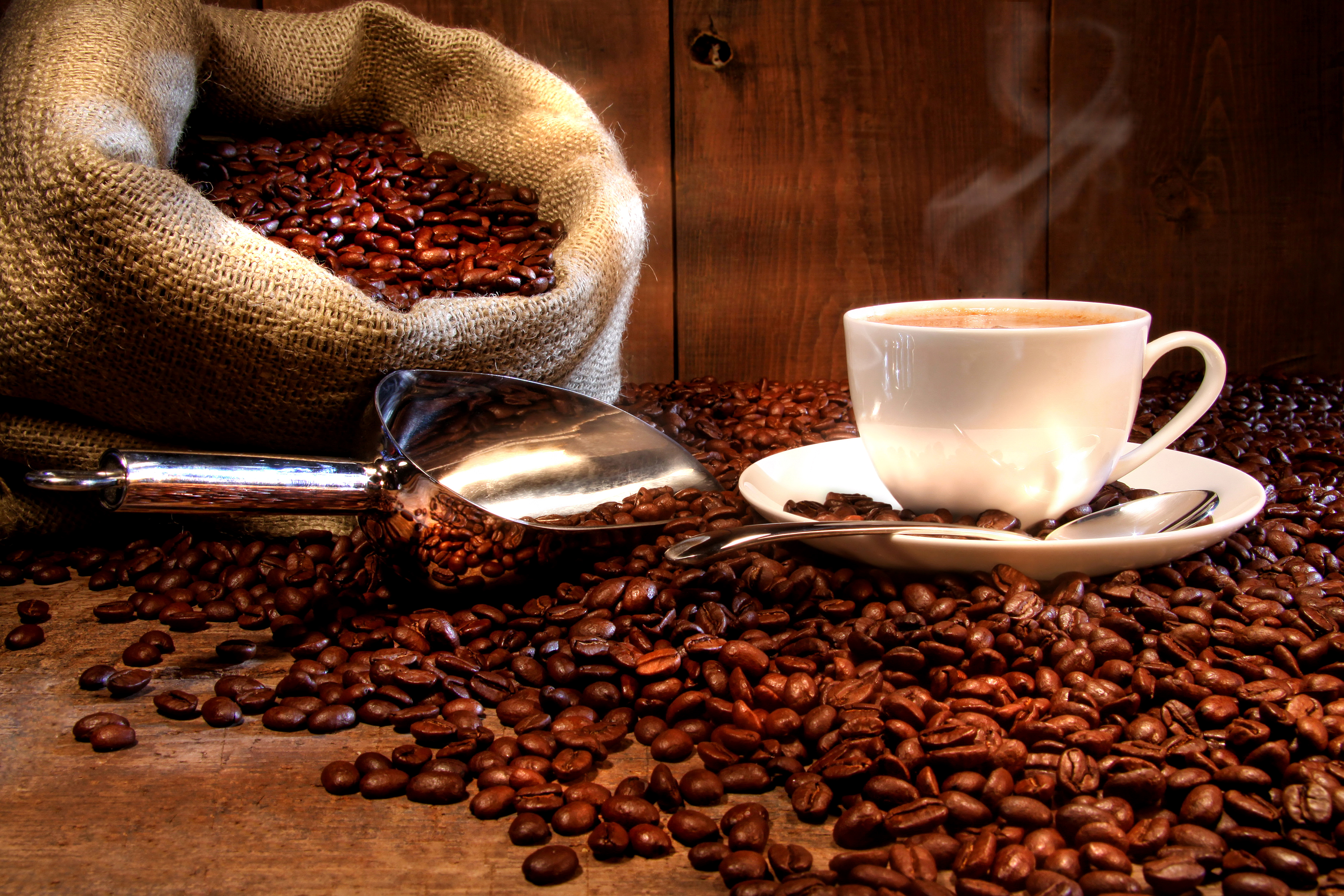 Картинки Кофе зерно Еда чашке Напитки Зерна Пища Чашка Продукты питания напиток