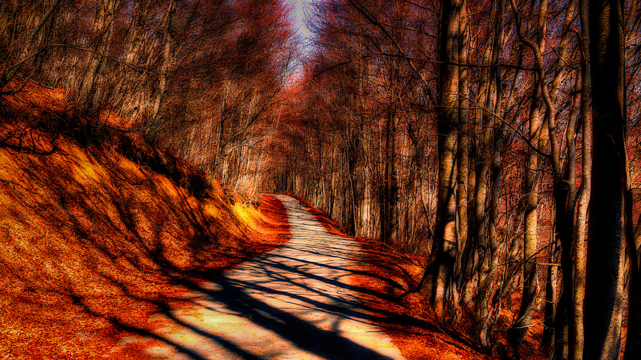дорога лес осень без смс