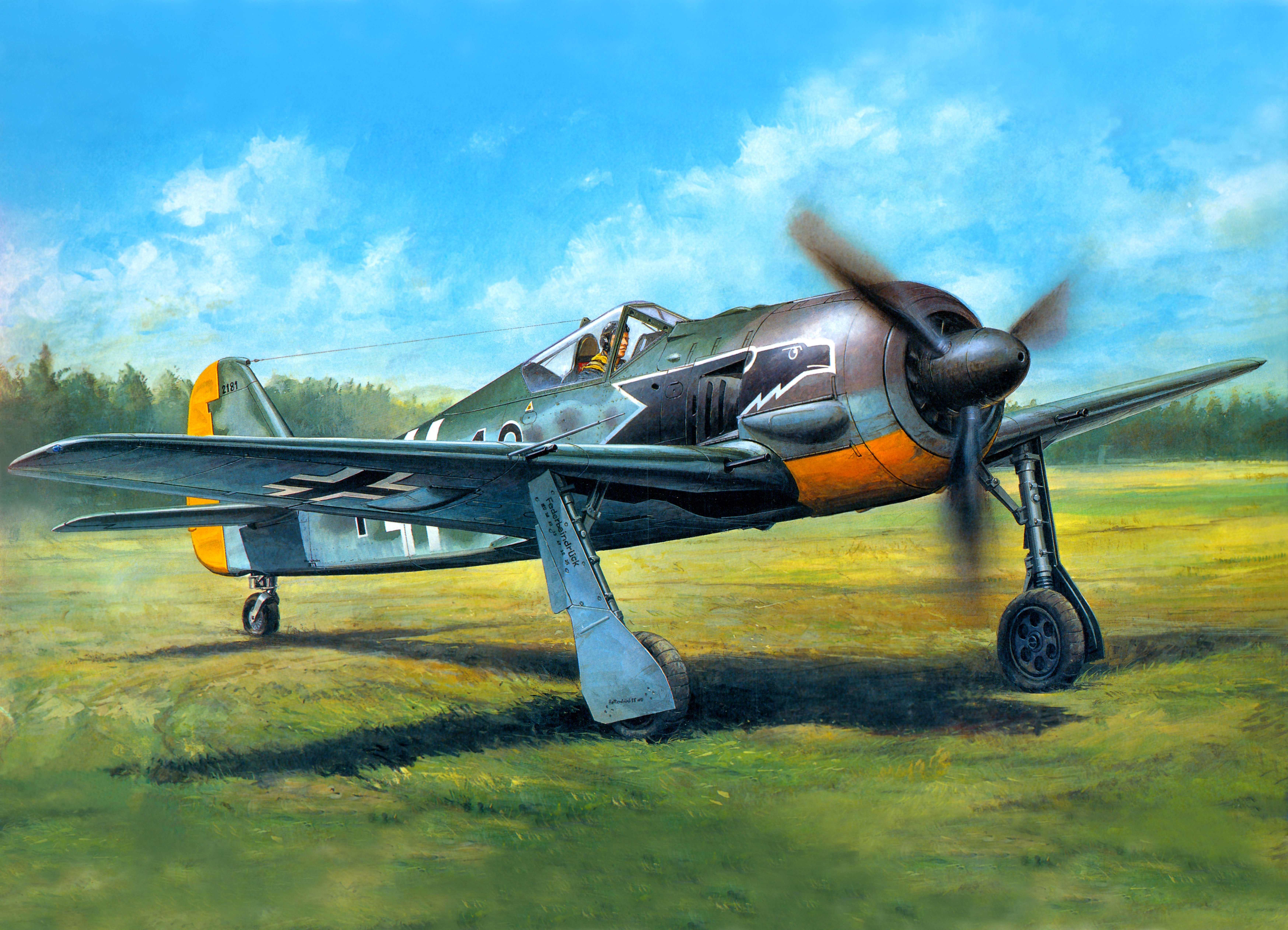 Fw 190 картинки