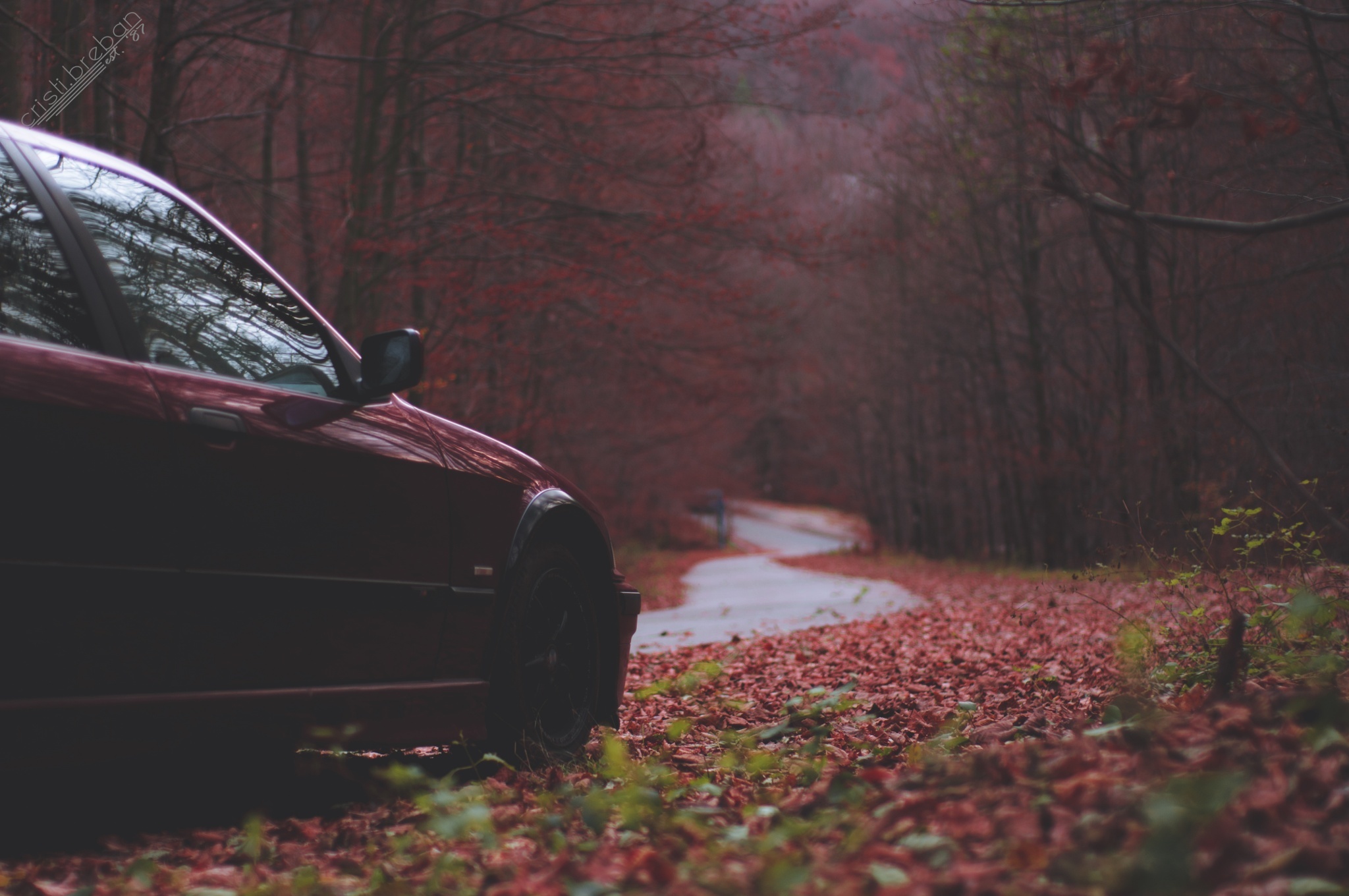 черный автомобиль осень природа BMW загрузить