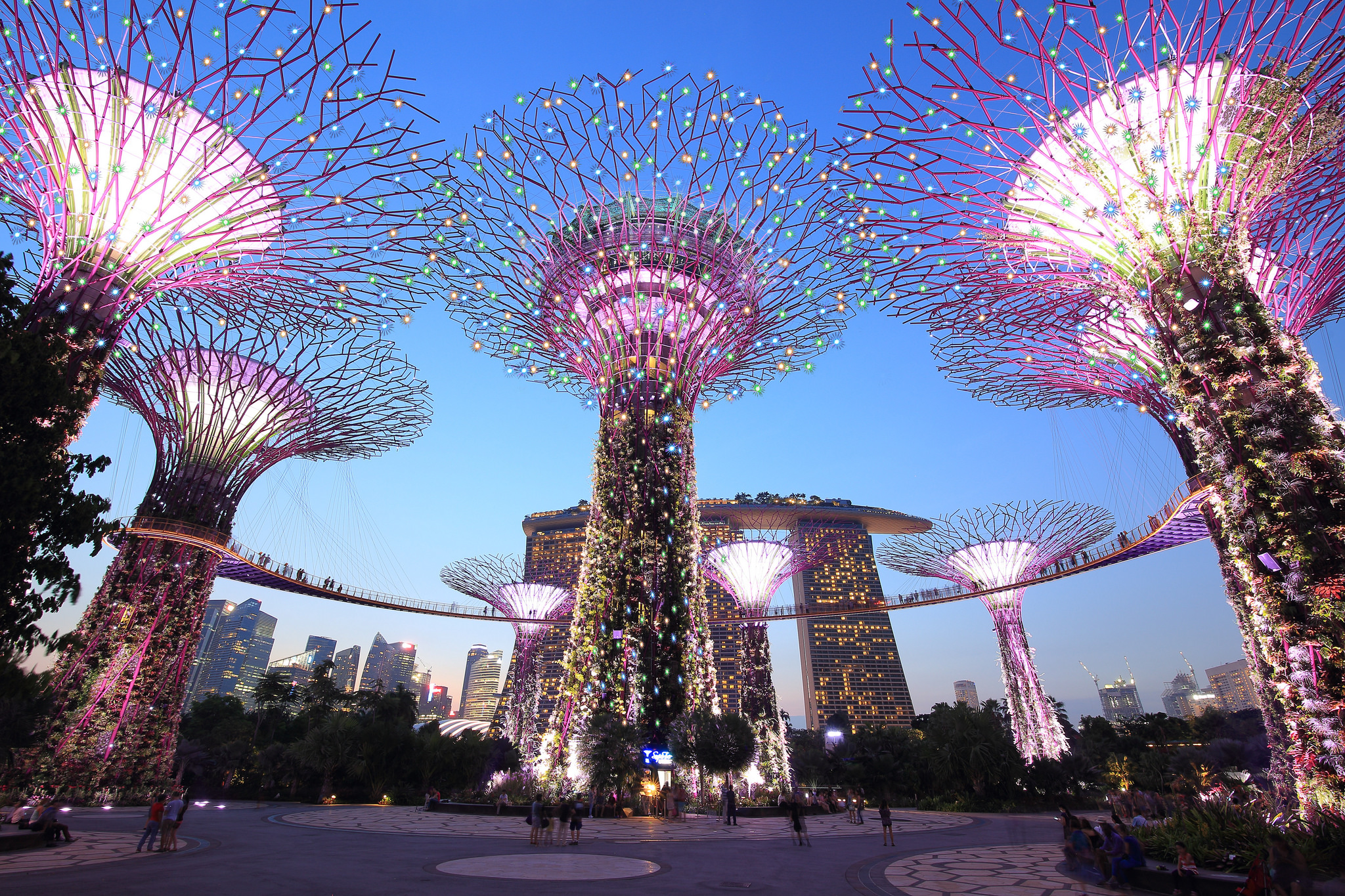 Сингапур. Деревья в Сингапуре Бионика. Красивые картинки стран. Мультикультурность Сингапура.