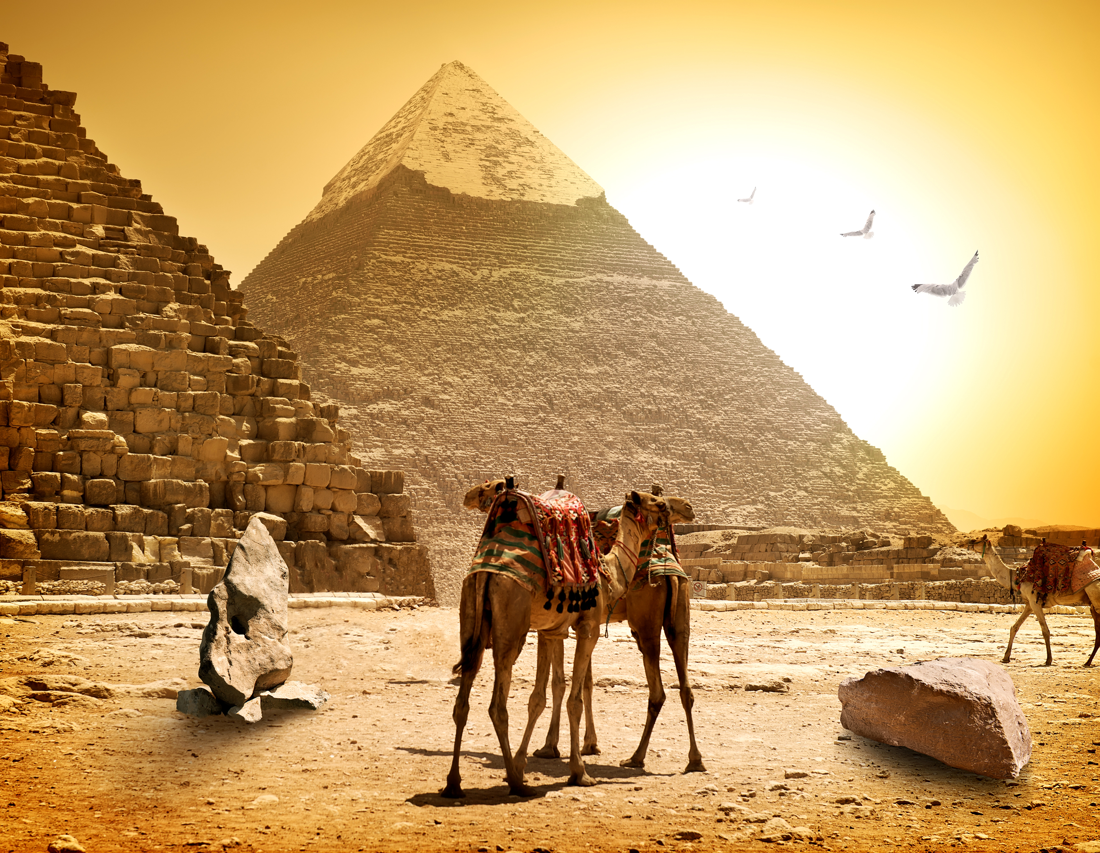 Египет. Каир пирамиды экскурсия. Пирамиды Египта Кайро. Египет пирамиды бедуины. Гиза Нил.