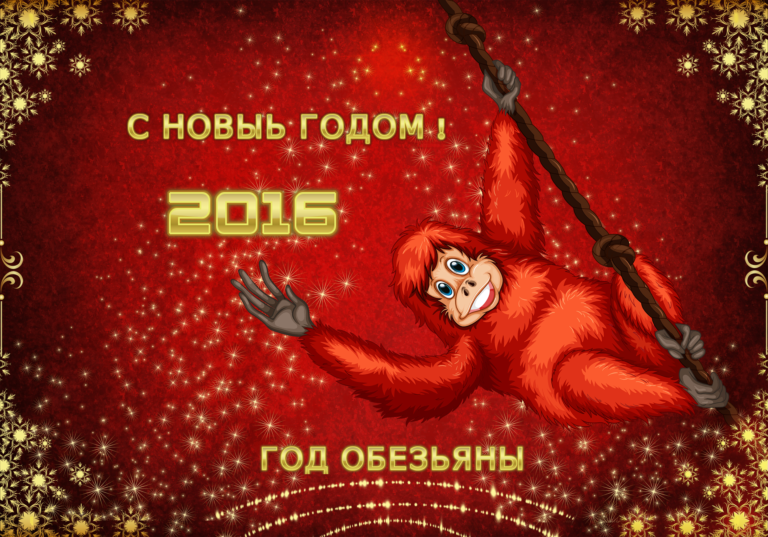 Год обезьяны 2016