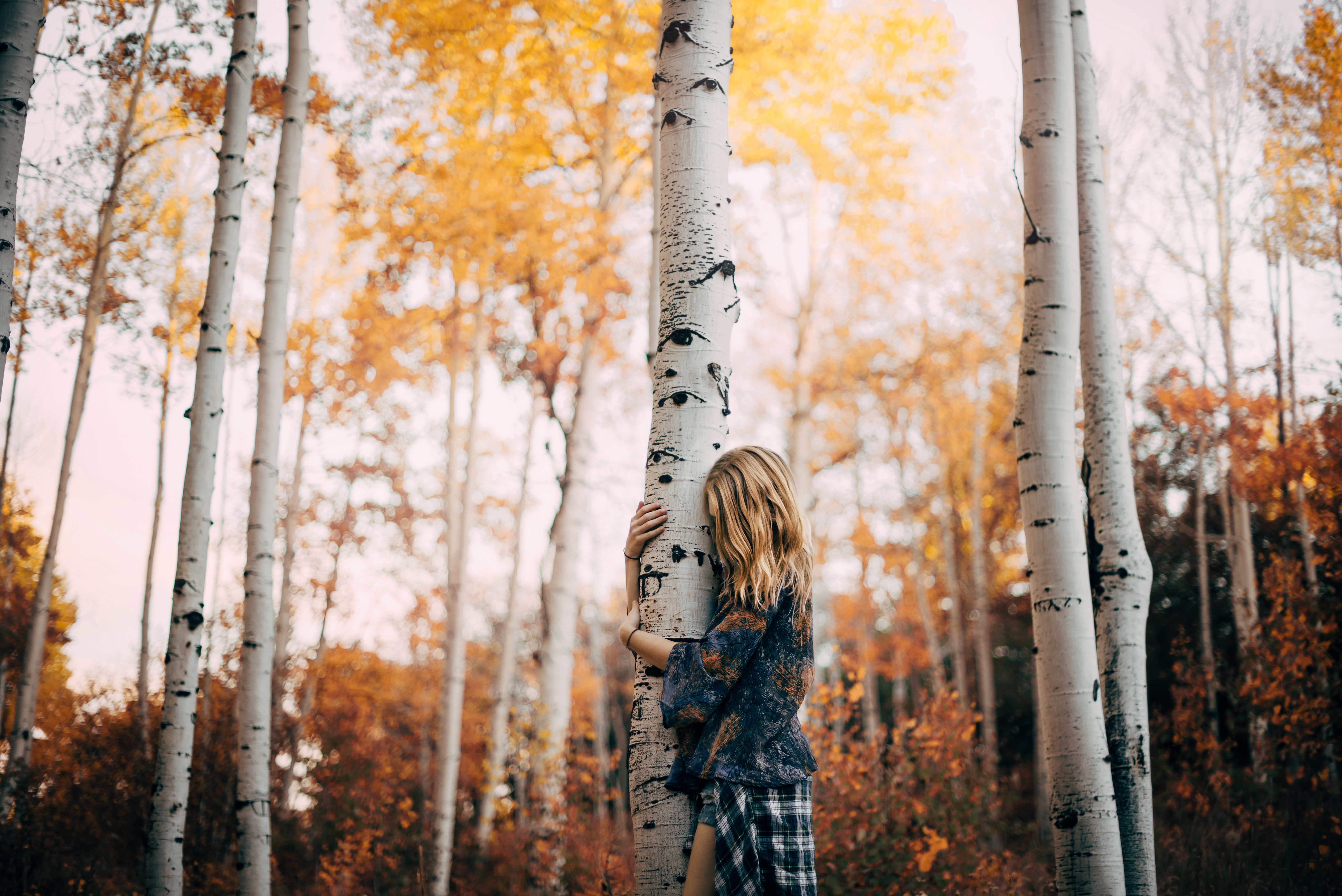 девушка осень блондинка природа деревья листья грусть тоска печаль загрузить