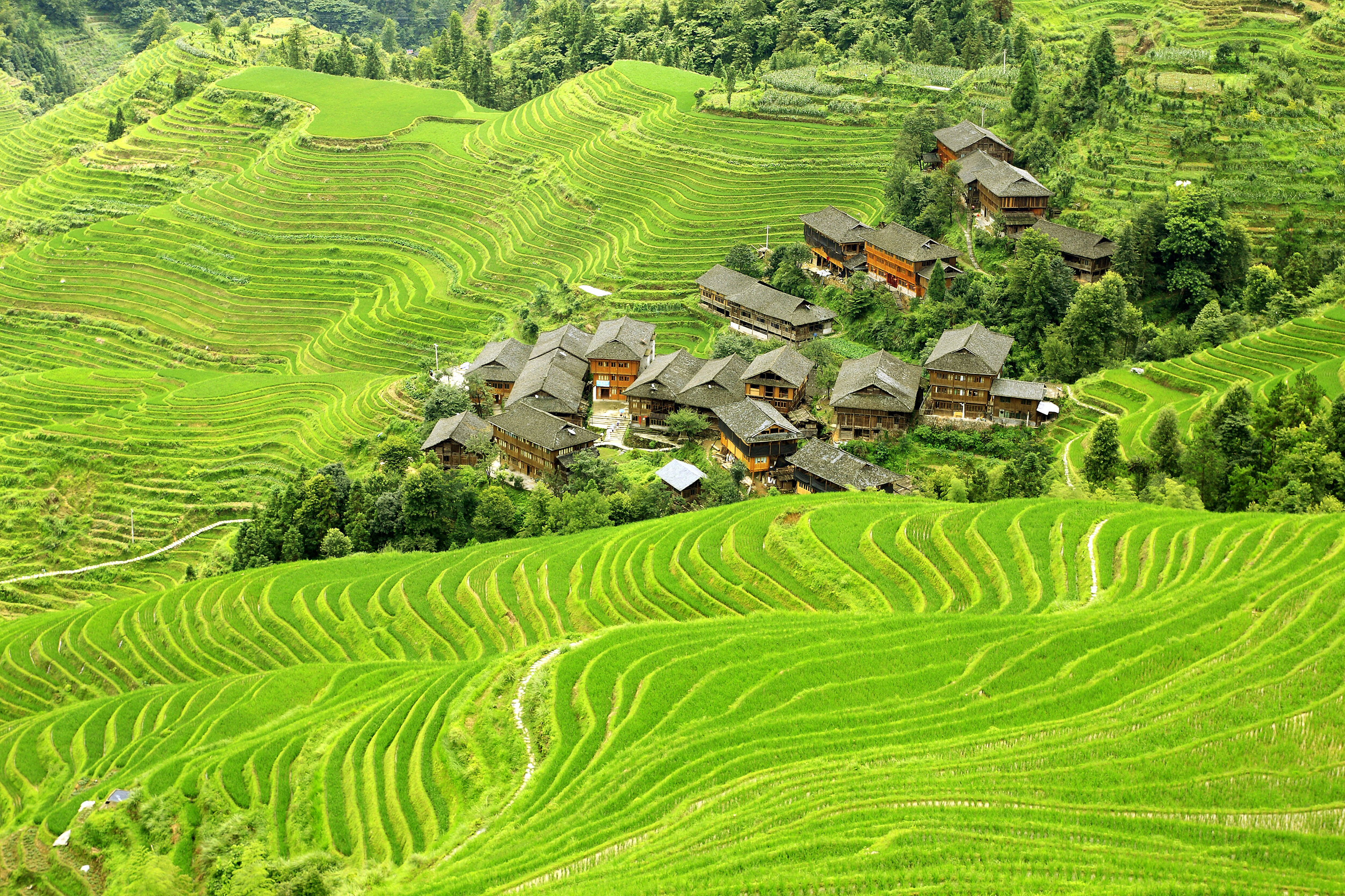 Agricultural Fields and Village, Tibet скачать