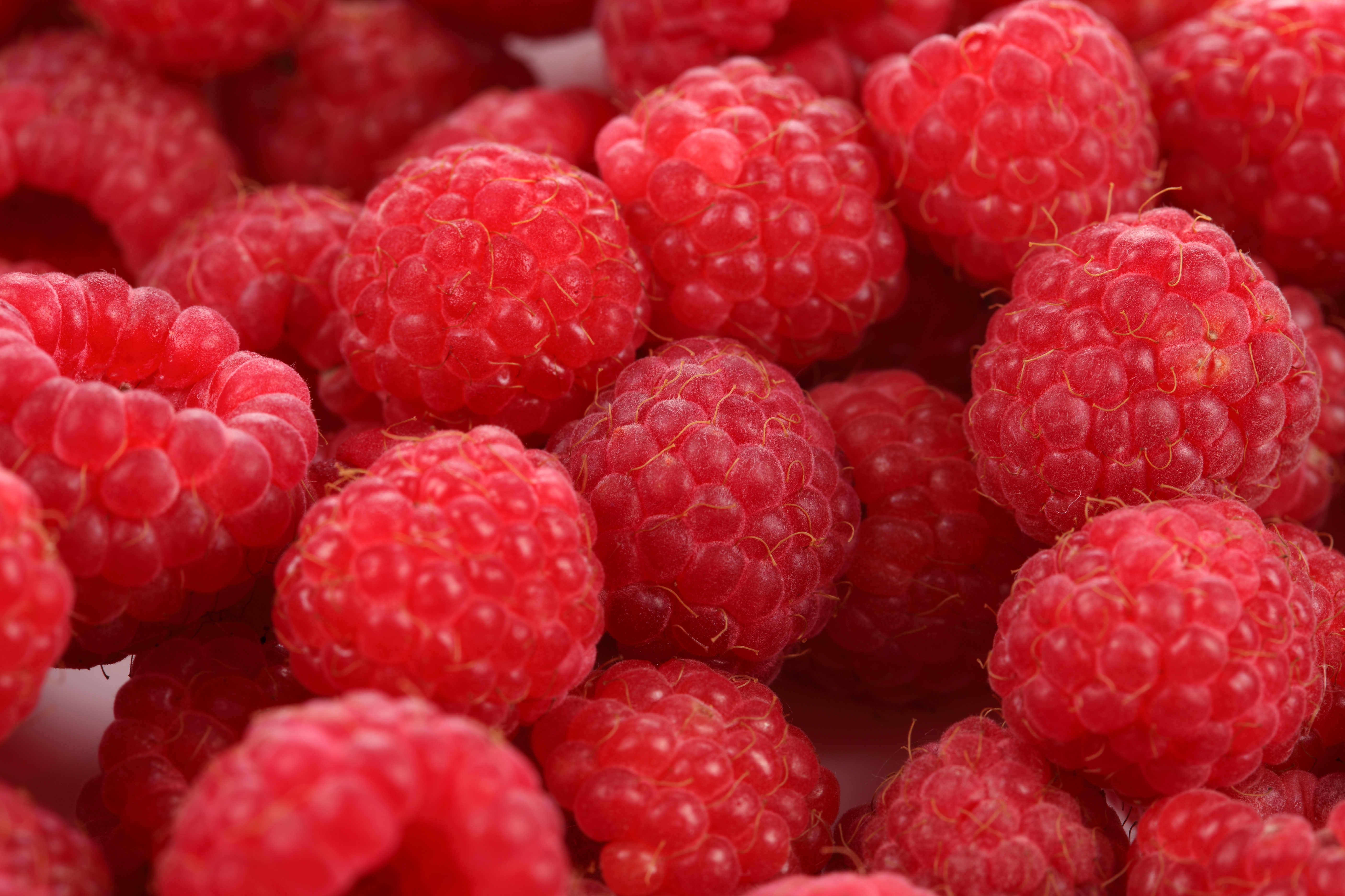 еда малина ягоды food raspberry berries загрузить