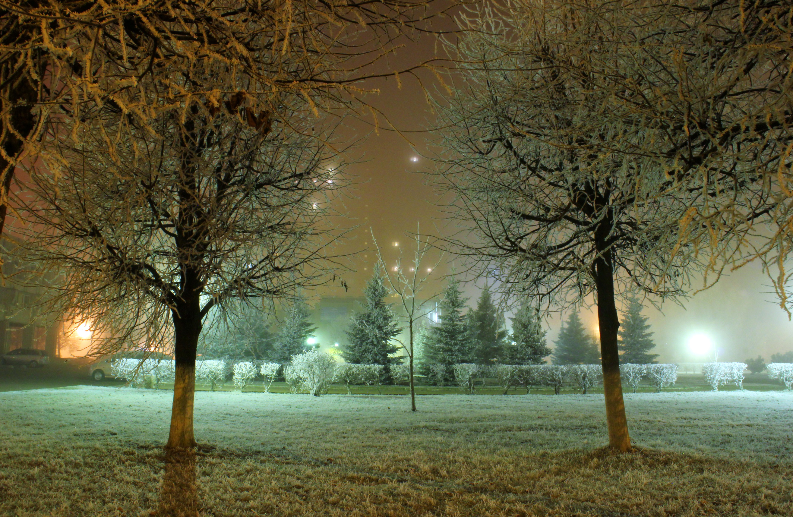 Зимний ночной пейзаж парк