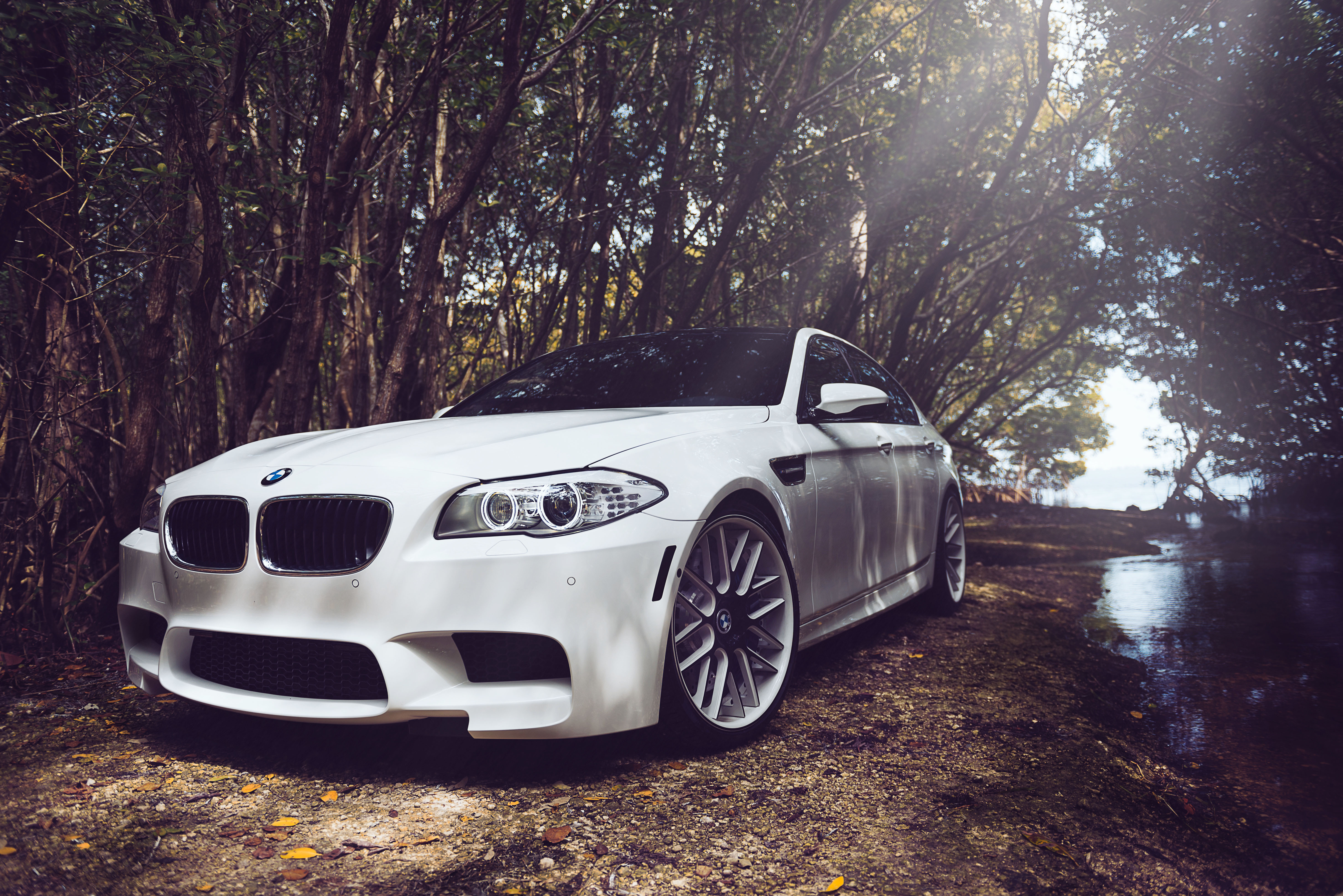 BMW M5 white скачать