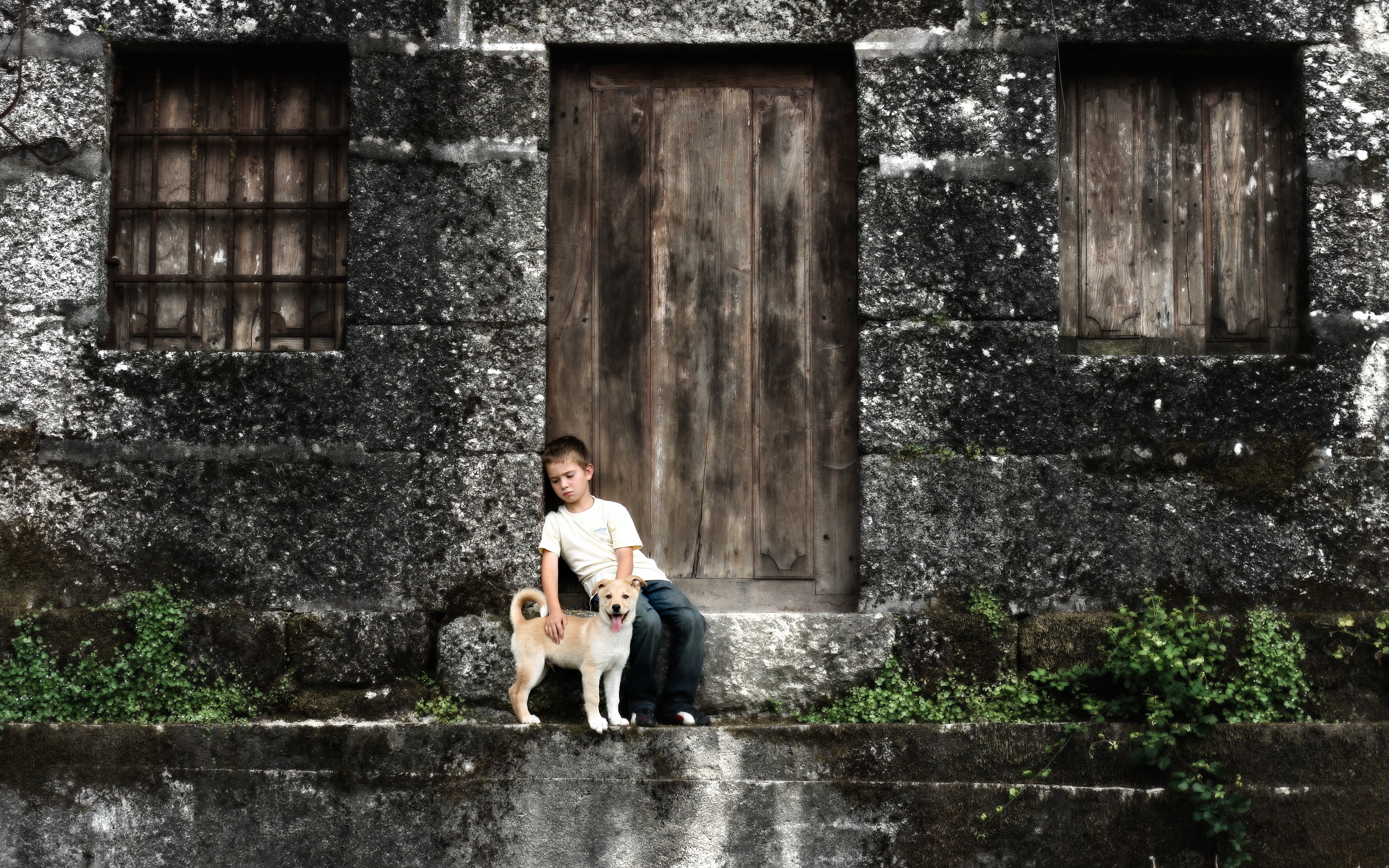 Мальчик и дверь открылась. Мальчик с собакой. Собака для детей. Щенок мальчик. Картинка мальчик с собакой.
