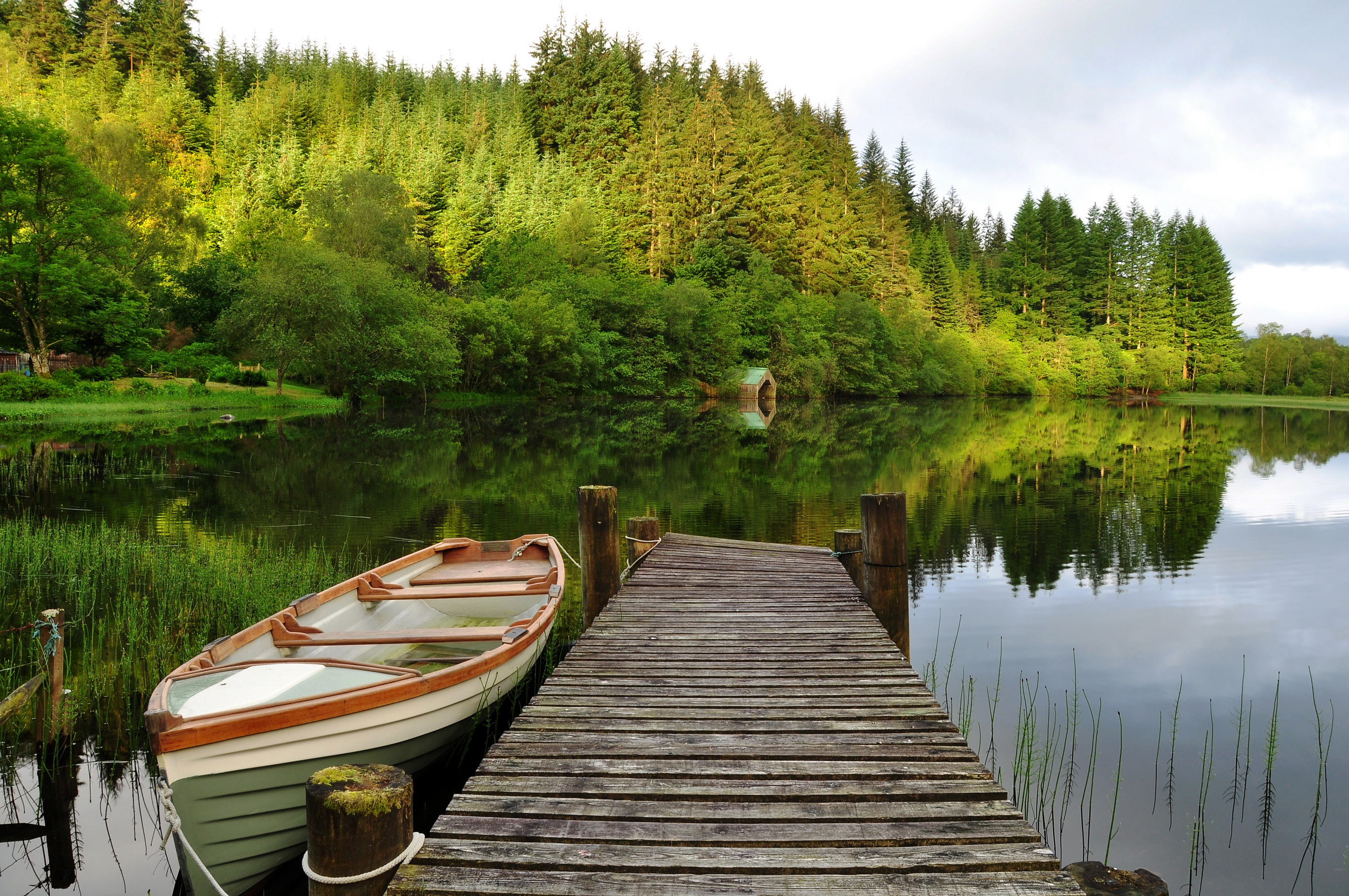 природа лодка деревья озеро загрузить