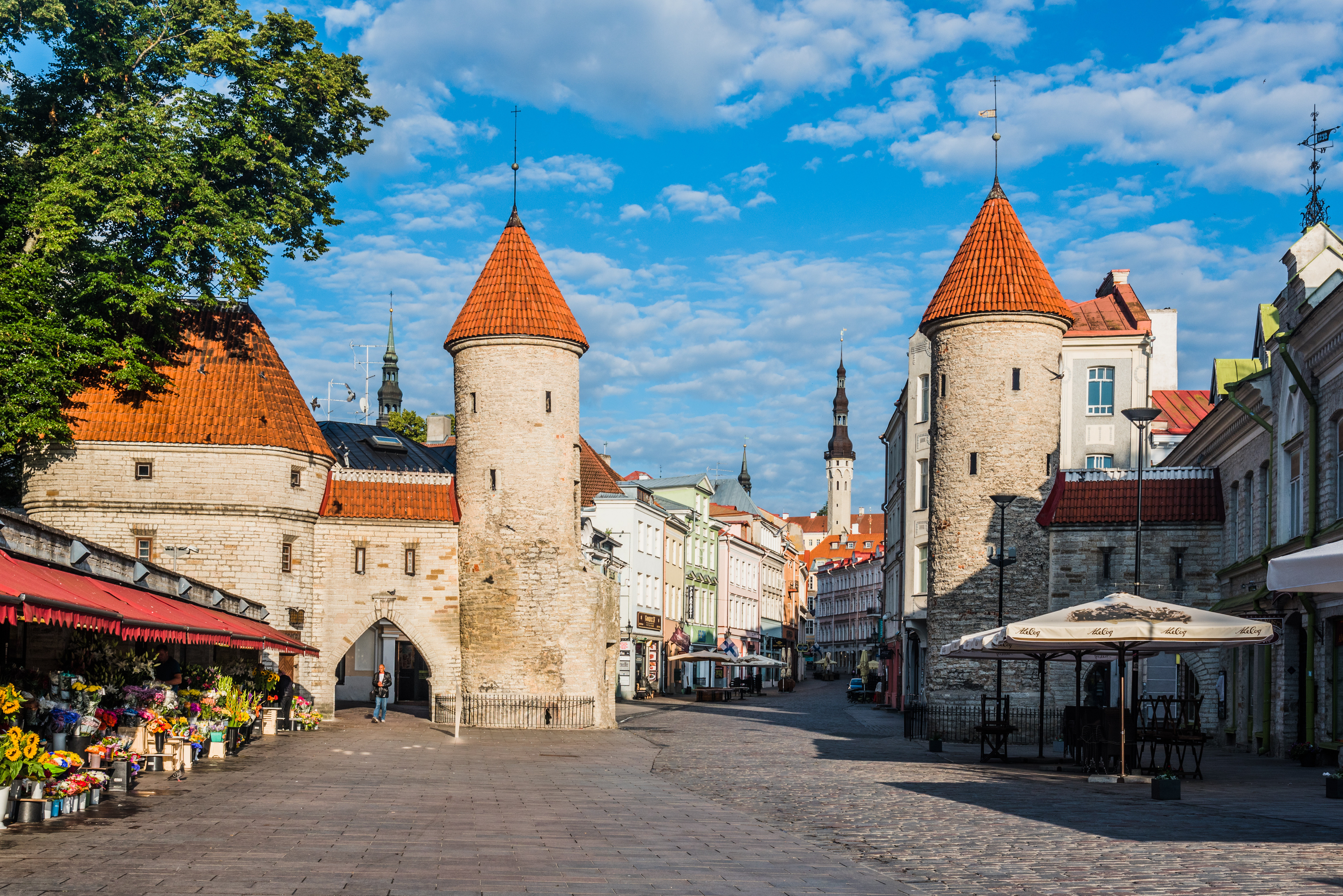 Эстония какие города. Город Таллинн Эстония. Город Таллин (Tallinn). Старый Таллин, Таллин, Эстония. Виру Таллин.