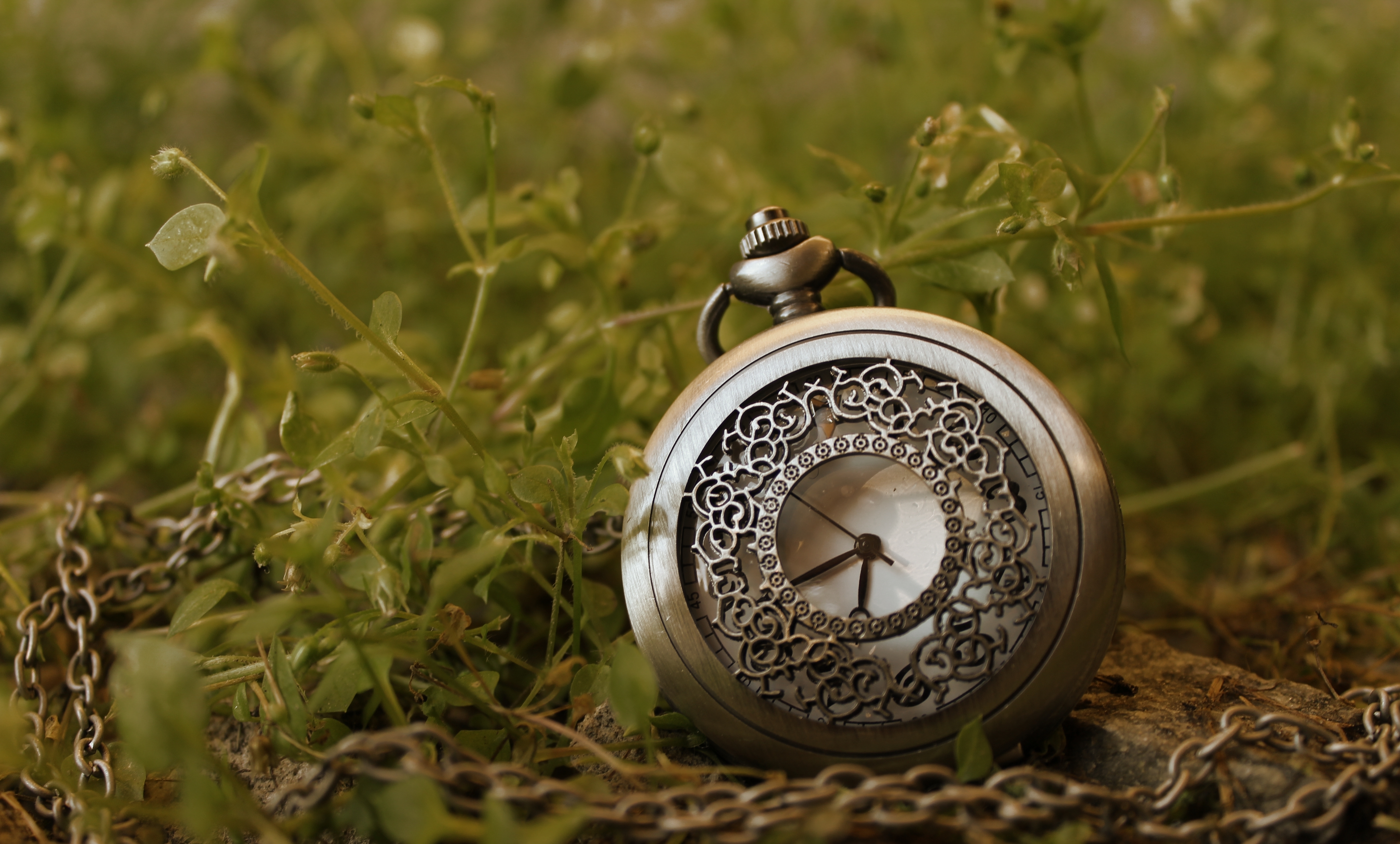 часы будильник трава загрузить