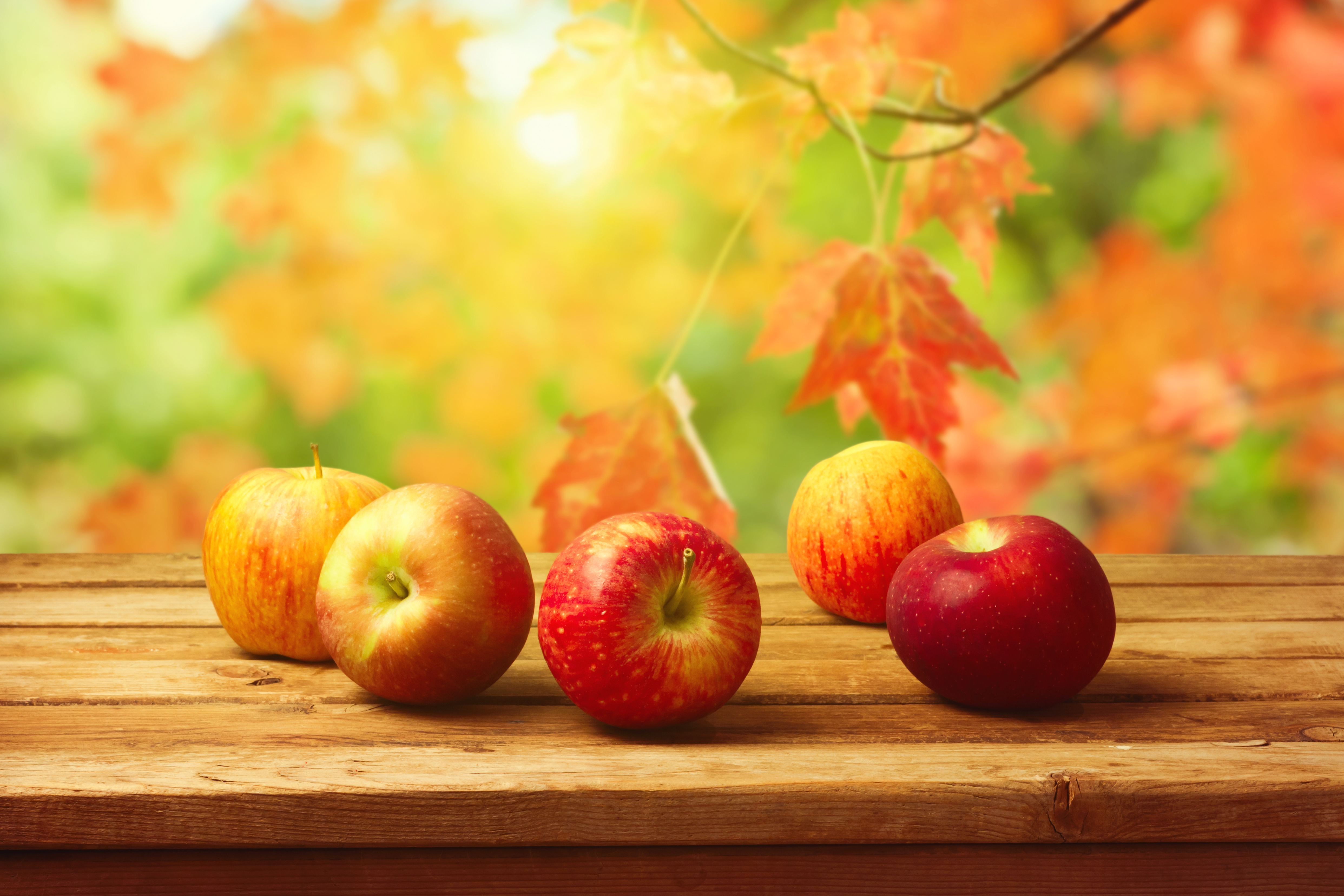 еда природа яблоки листья трава загрузить