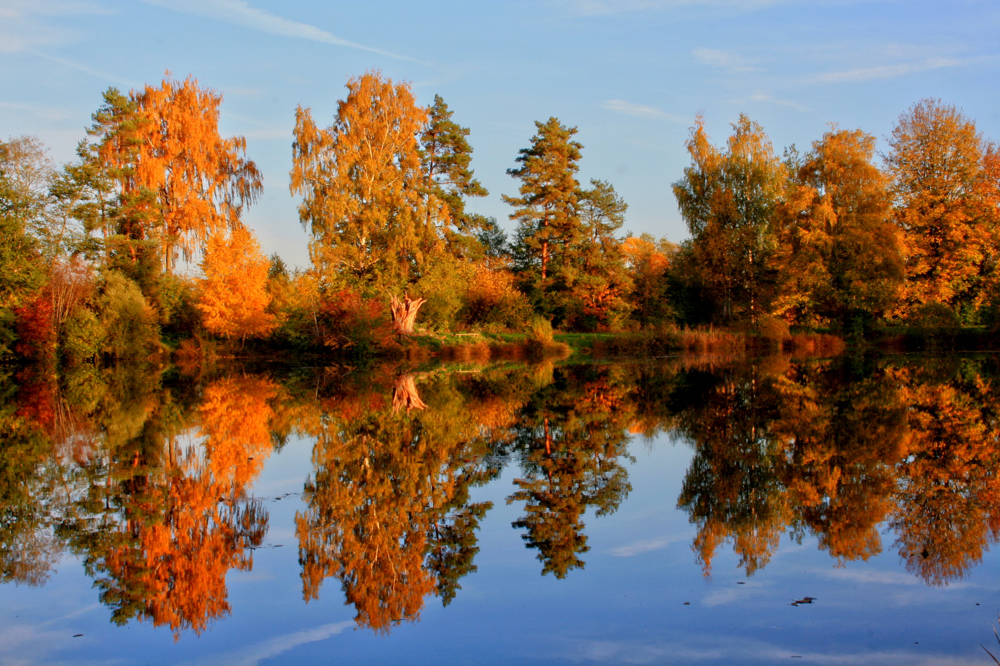 Осенние пейзажи осени. Золотая осень озеро природа река лес. Природа осенью. Красивая осень. Осенний лес с отражением в воде.