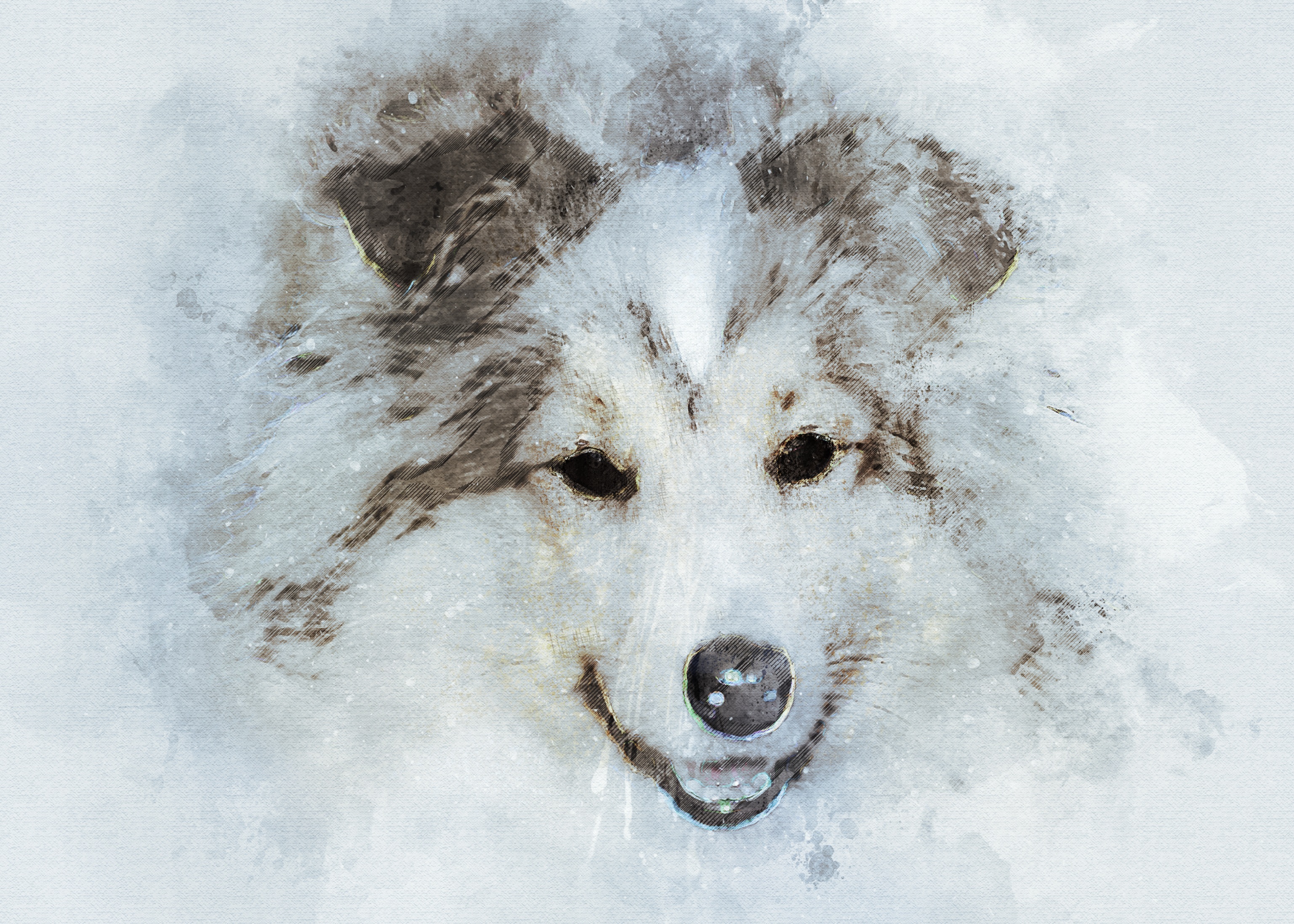 Снежинка и морда собаки рисунок