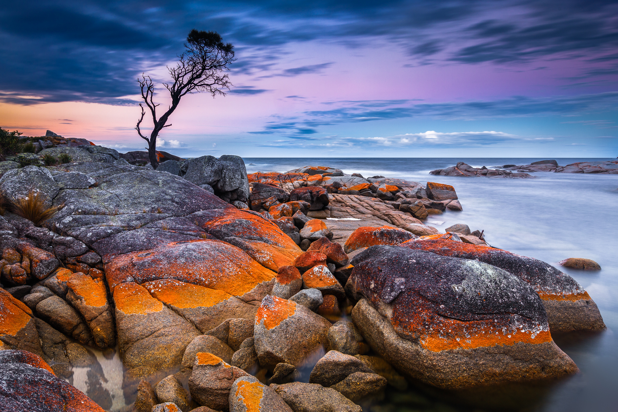 закат берег море камни дерево бесплатно