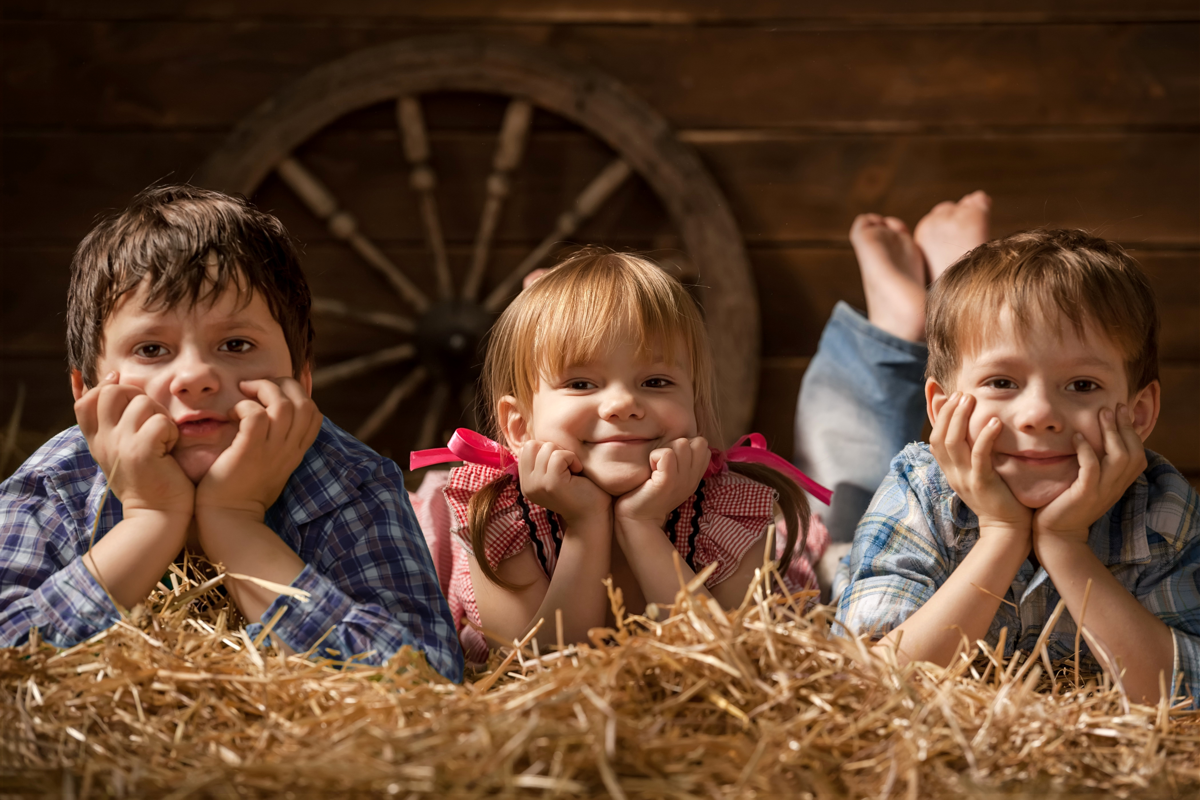 3 boys girl. Мальчик на сене. Солома для детей. Послушный ребенок. Мальчик с девочкой на сене.