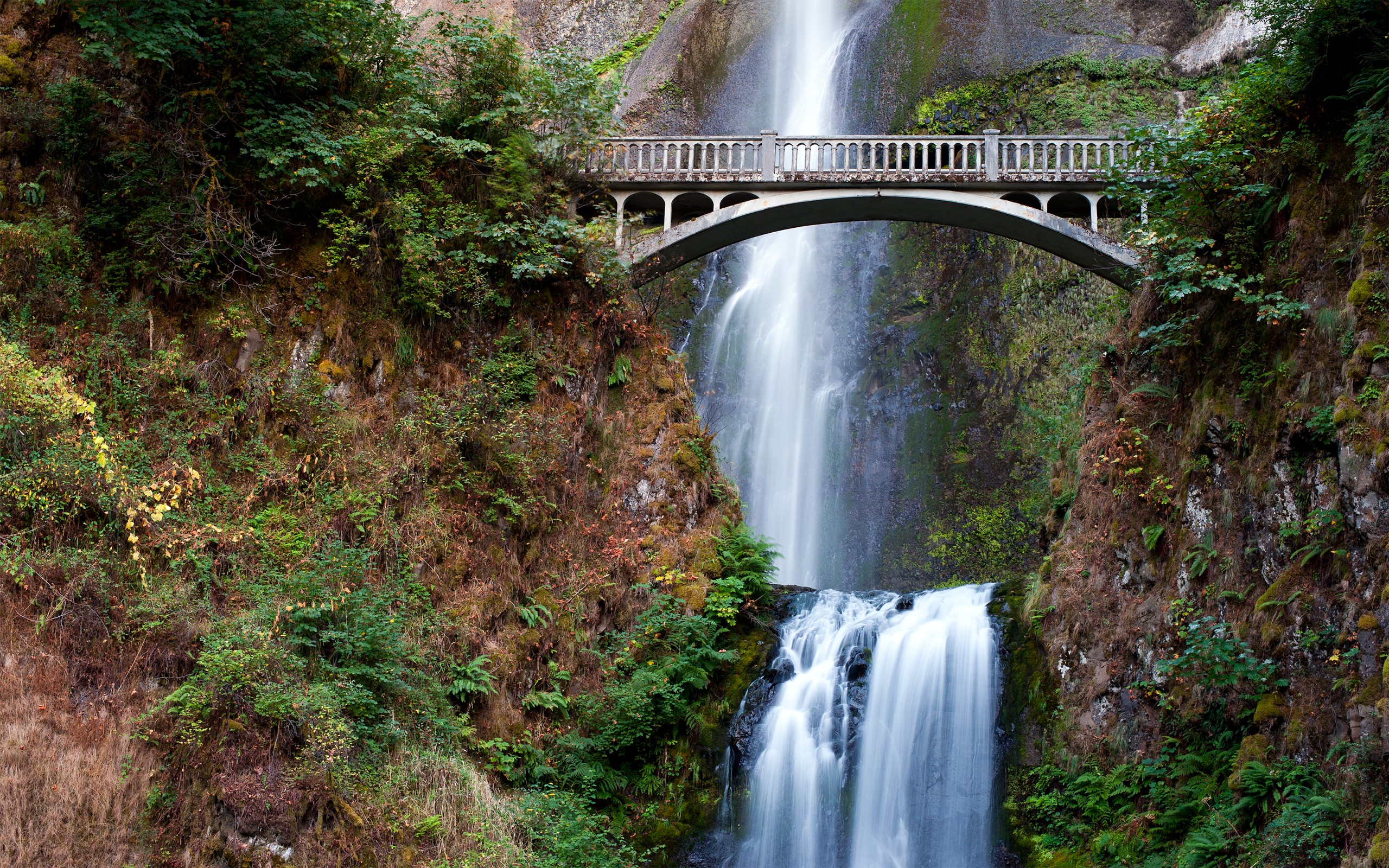 True falls. Величественный водопад Малтнома (США). Малтнома-Фолс, штат Орегон. Водопад Малтнома мост. Водопад Малтнома Орегон.