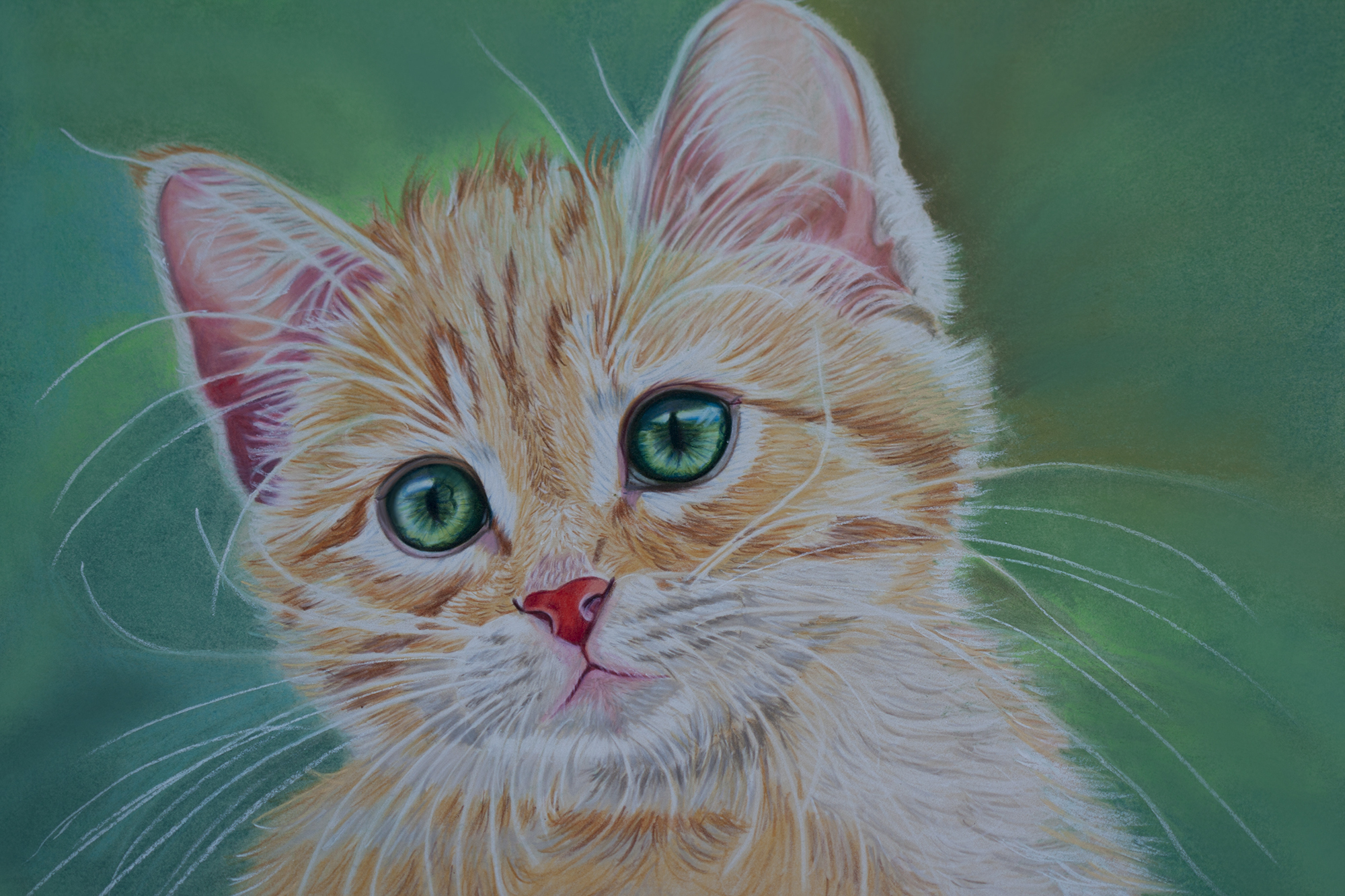 Фото рисунка кошки. Котик рисунок. Рисунки цветные. Нарисовать котика. Кошка цветными карандашами.