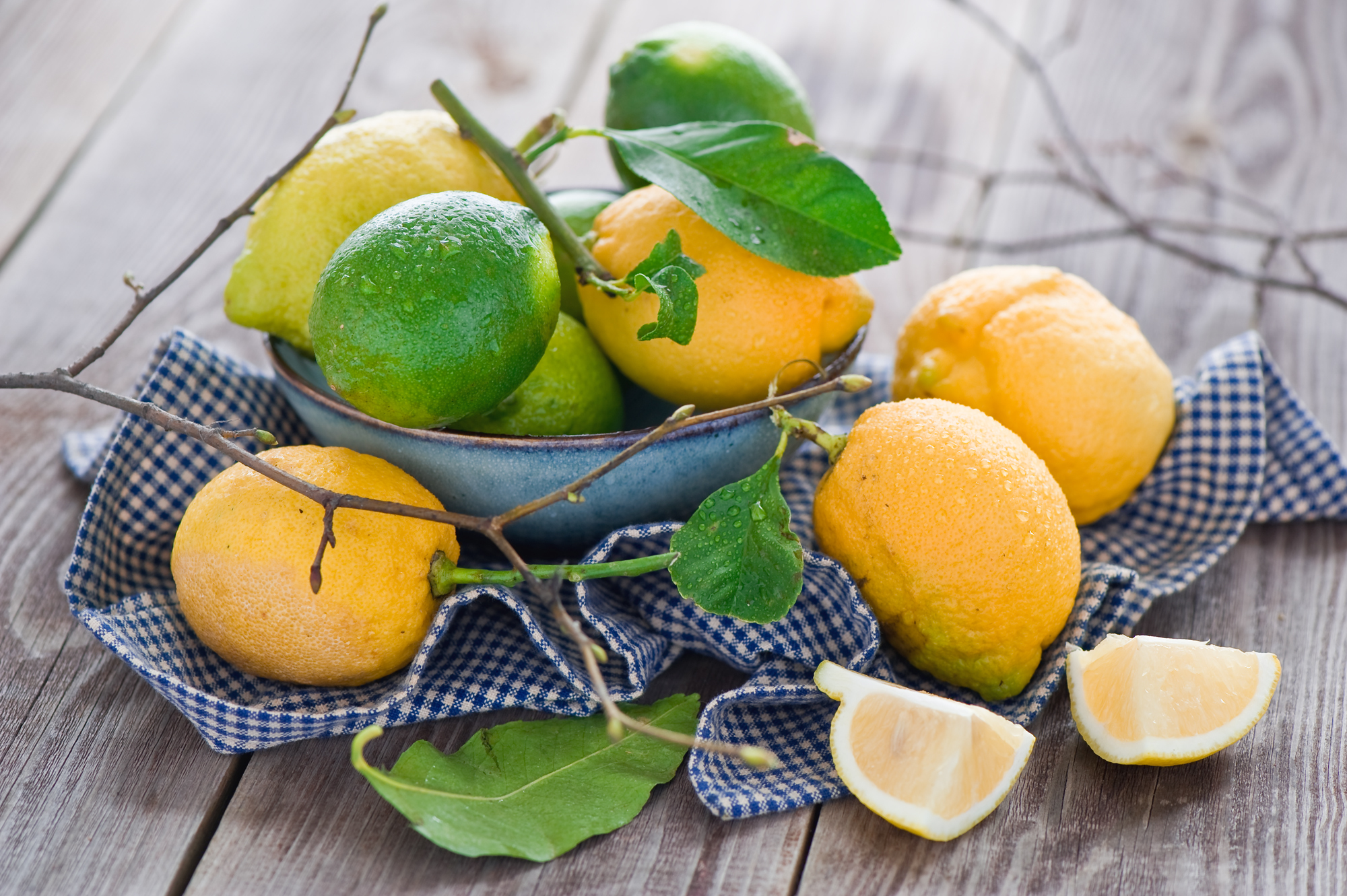 лимоны цитрусовые ветка загрузить