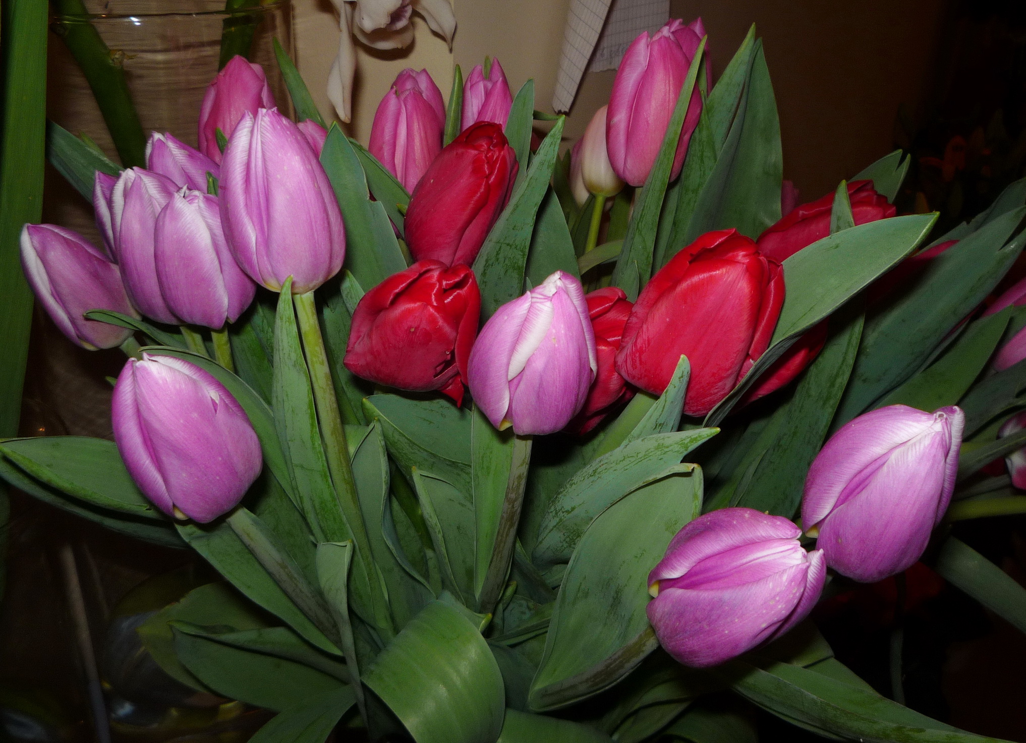 Доставка Цветов Тюльпаны