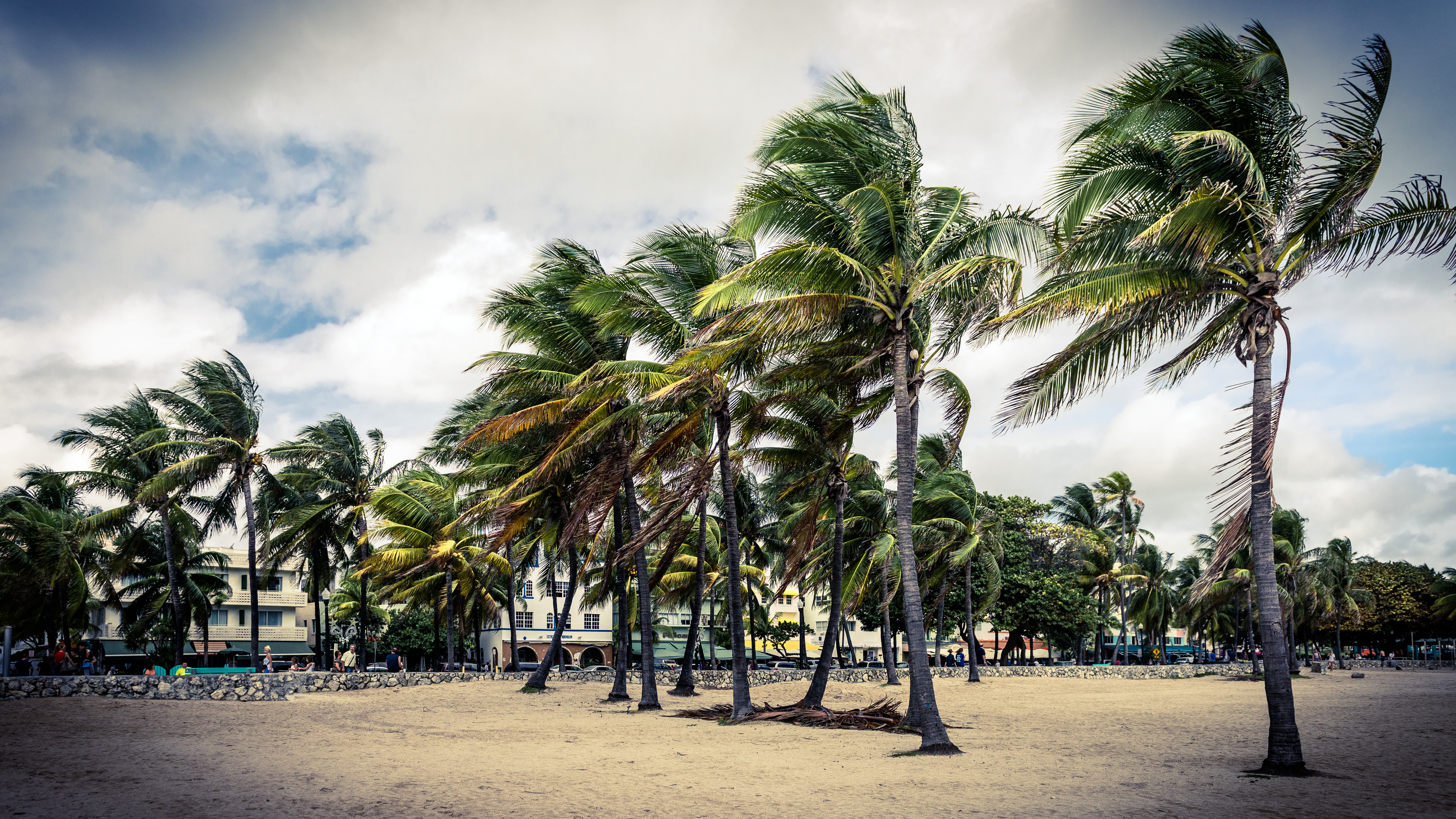 Prepagos En Miami Fl