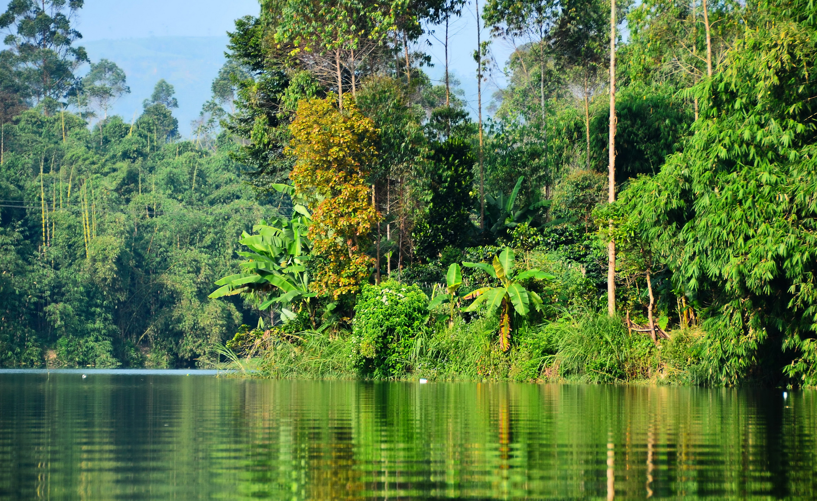 Пресноводное озеро в латинской америке. Тропические леса амазонки в Бразилии. Сельва Бразилии. Река Амазонка джунгли. Природа Бразилии Сельва.