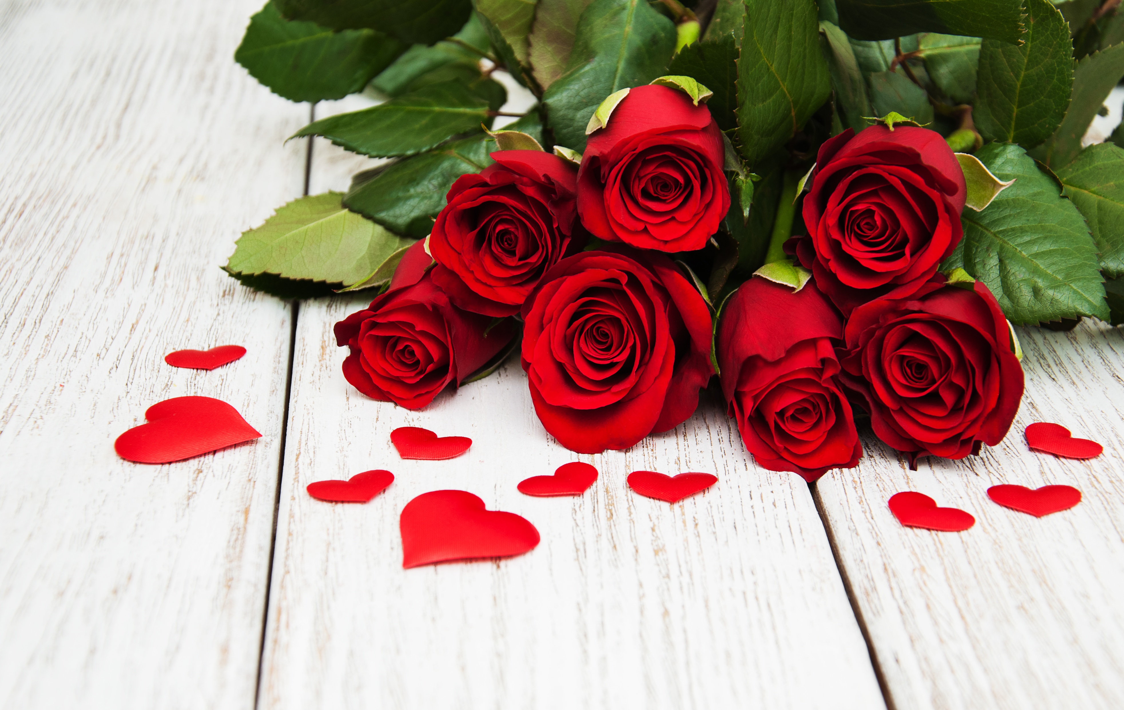 Фотография Сердце роза красных цветок Доски 3931x2485 серце сердца сердечко Розы красная красные Красный Цветы