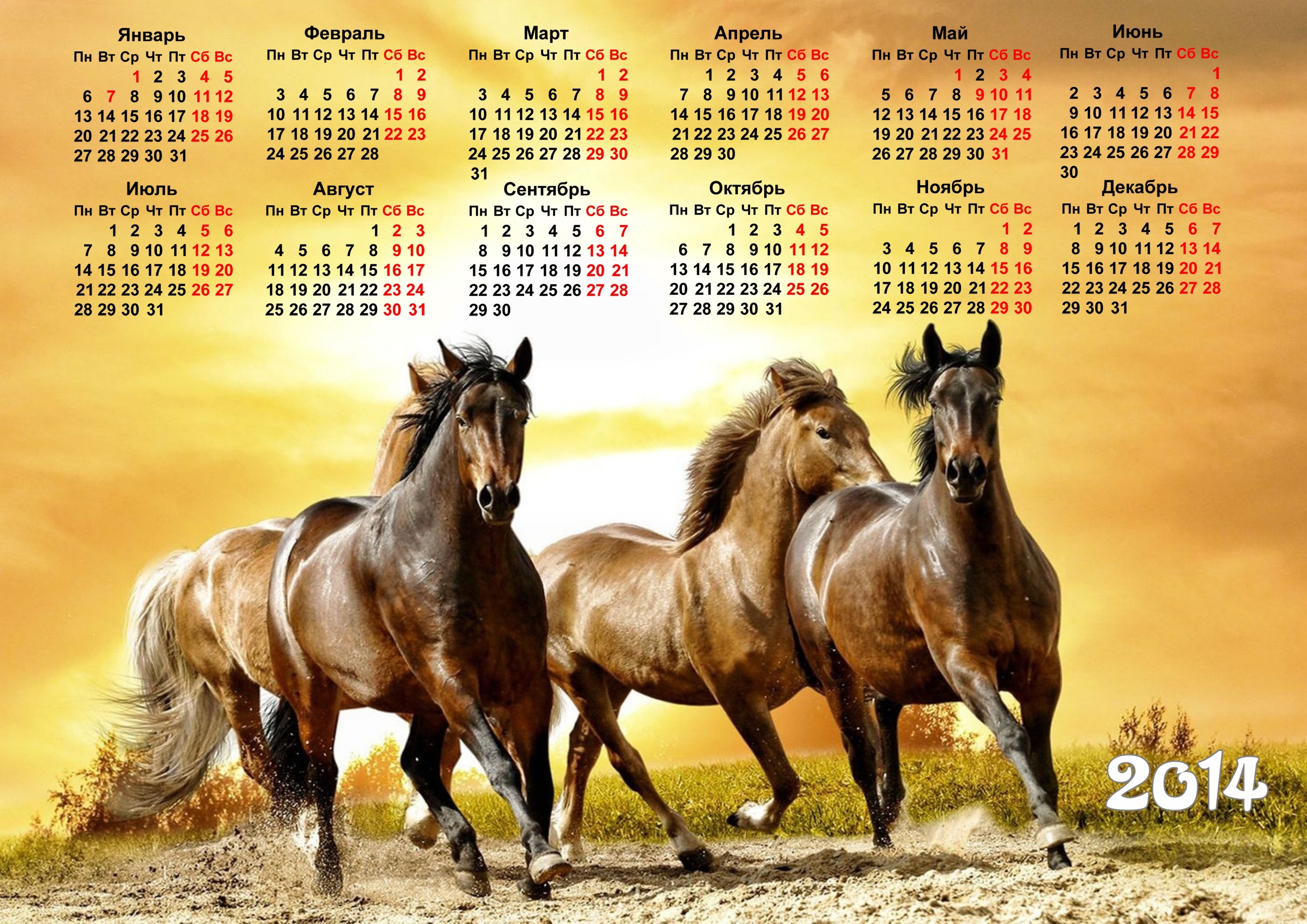 2026 по месяцам. Календарь 2014 года. Лошади. Календарь 2014 год лошади. Обои лошади.
