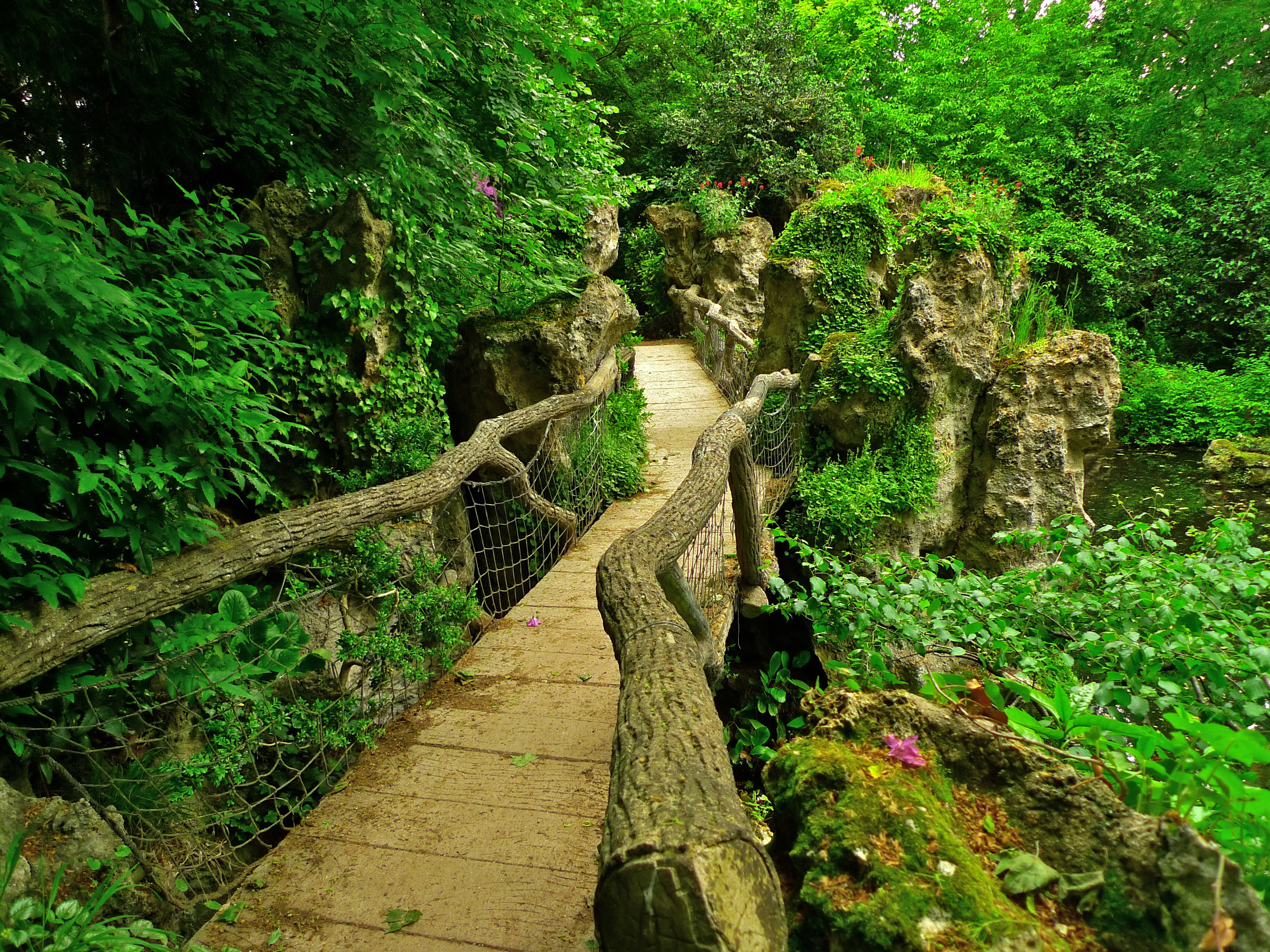 Долина заросшая лесом. Живерни. Jardin Albert Kahn французский сад. Дендрарий подвесной мост. Гарден Фореста.