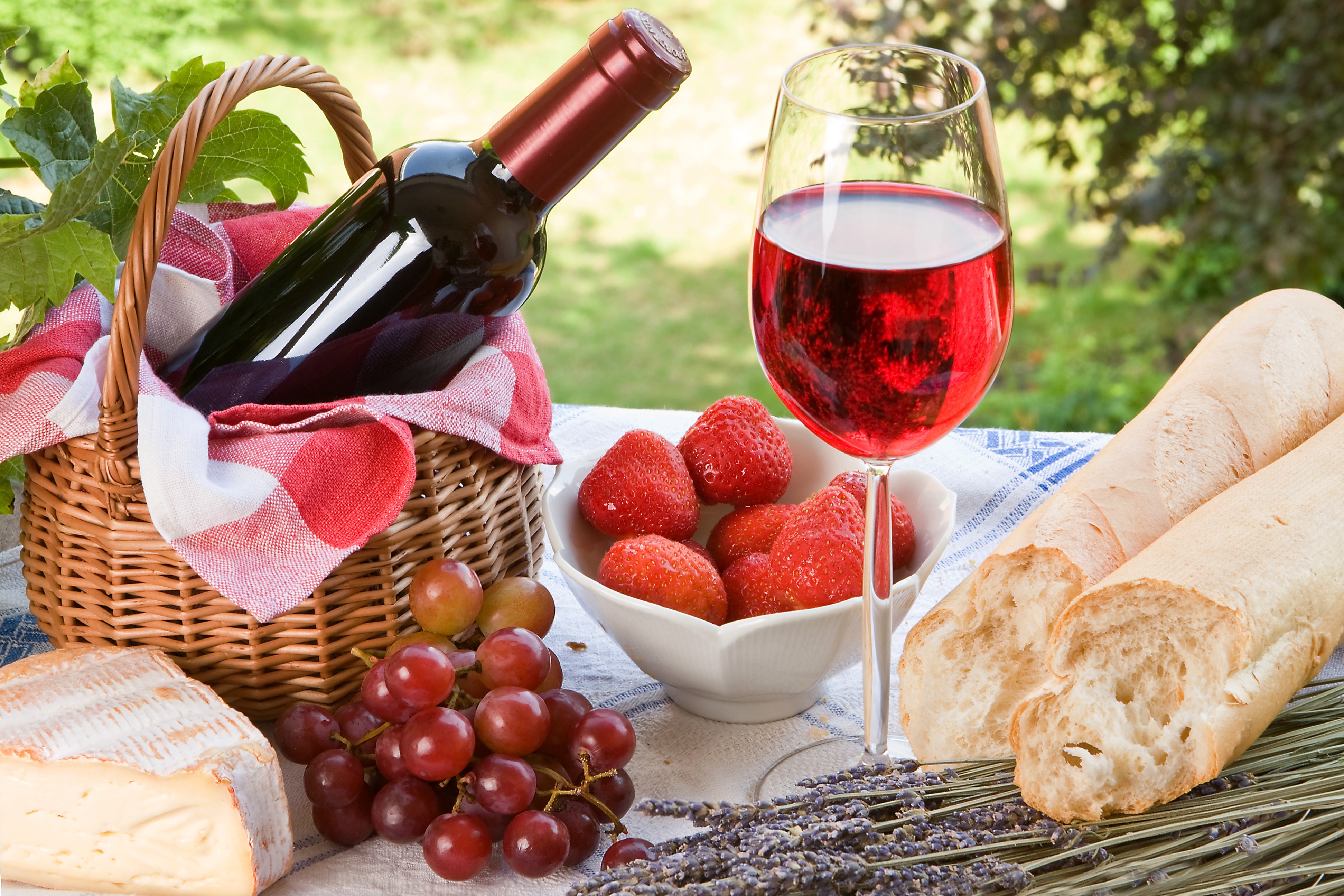 вино с фруктами на лужайке бесплатно