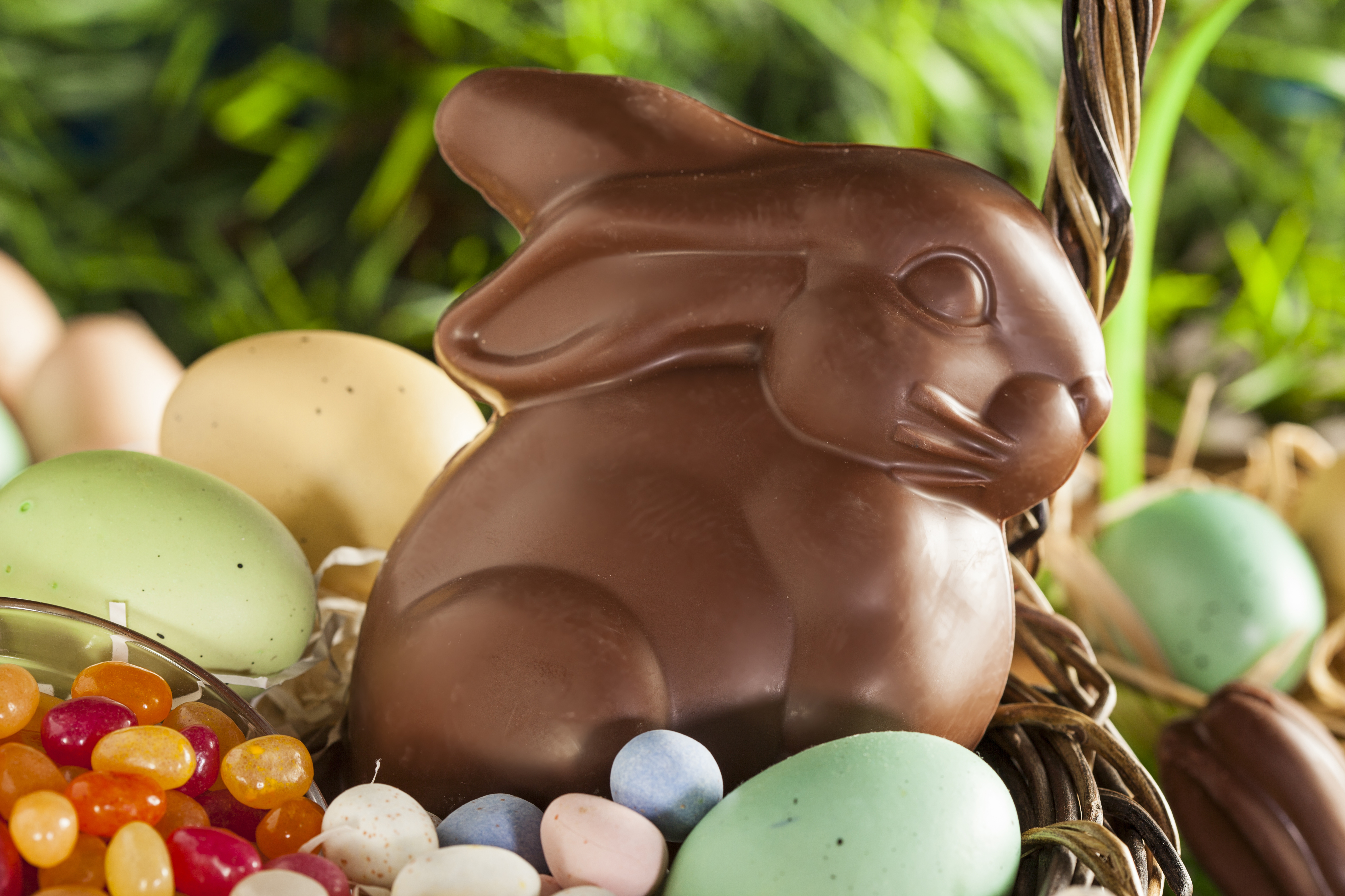 Пасхальный шоколад. Пасхальный шоколадный заяц. Шоколадный Пасхальный кролик. Шоколадные пасхальные яйца. Шоколад на Пасху.