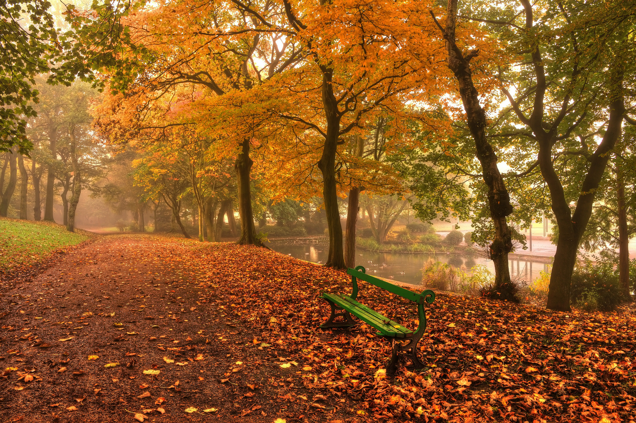 Фотографии Листва Осень Природа парк Скамья 2048x1362 лист Листья осенние Парки Скамейка