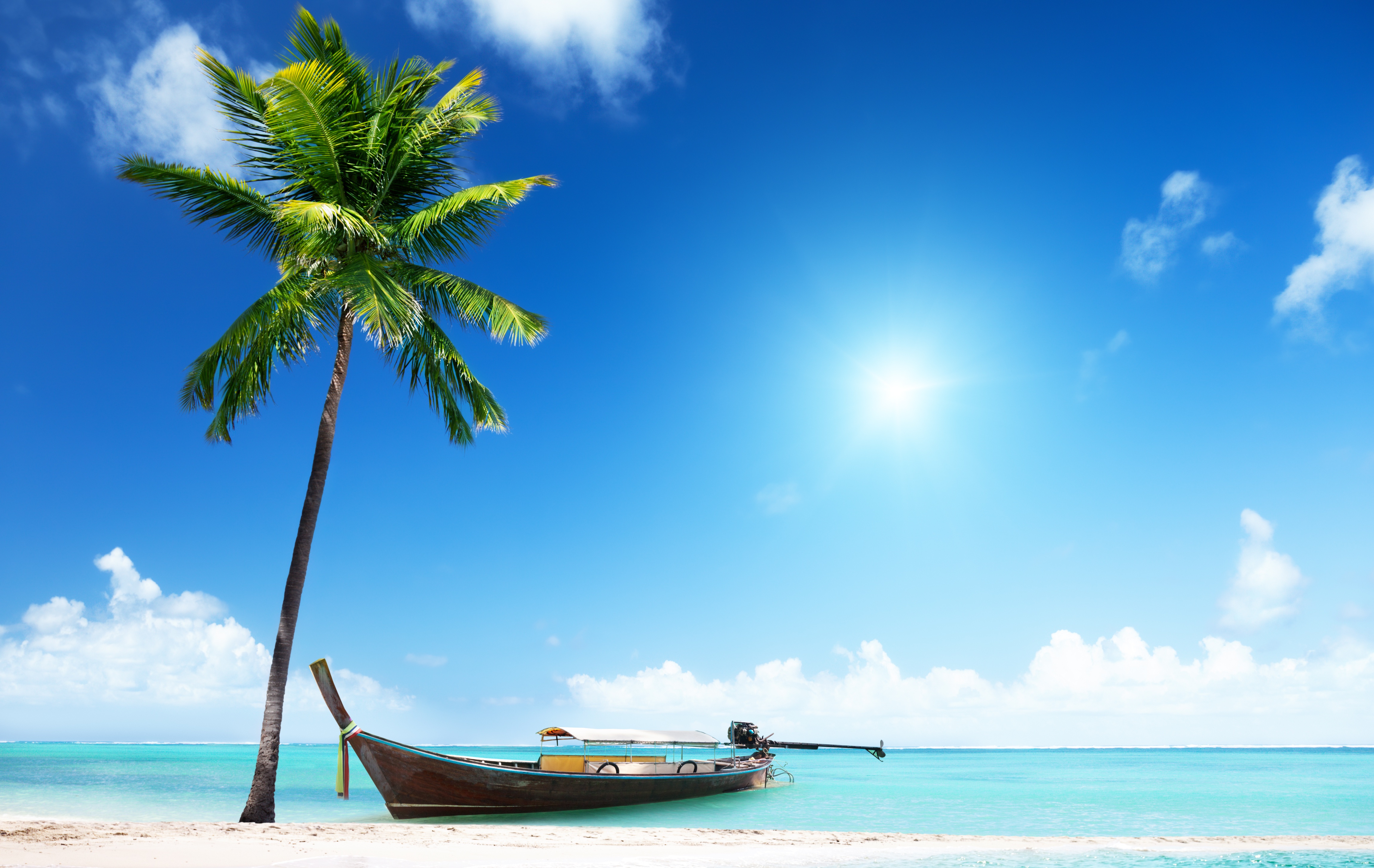 Beach tree. Море пляж. Море солнце пальмы. Море пляж пальмы. Пляж с пальмами.