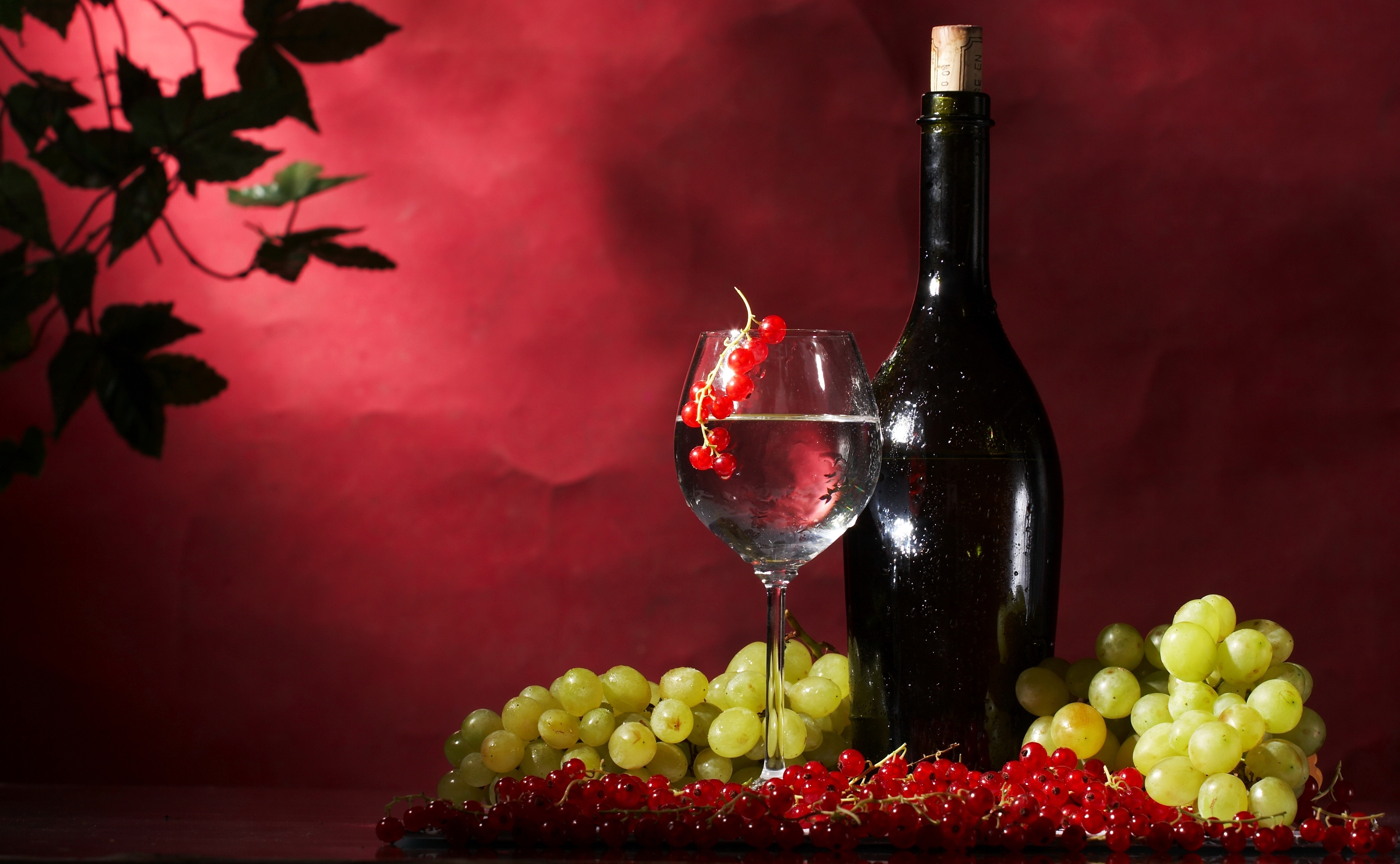 вино виноград еда загрузить